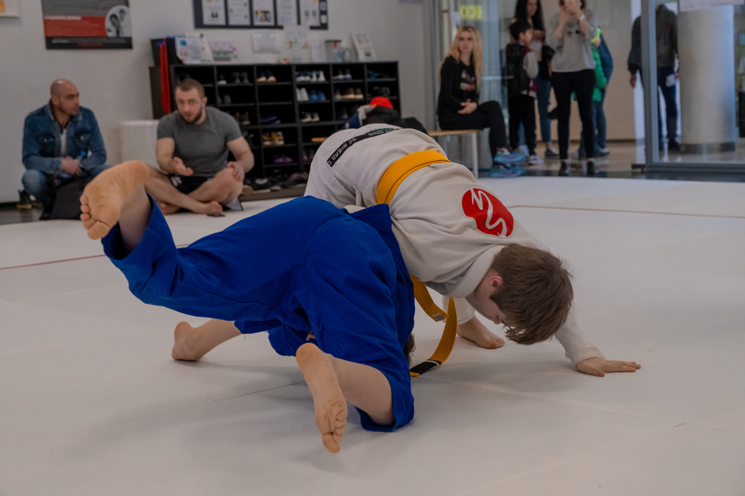 бжж, бразильское джиу-джитсу, соревнования по бразильскому джиу-джитсу, чемпионат России, неваза