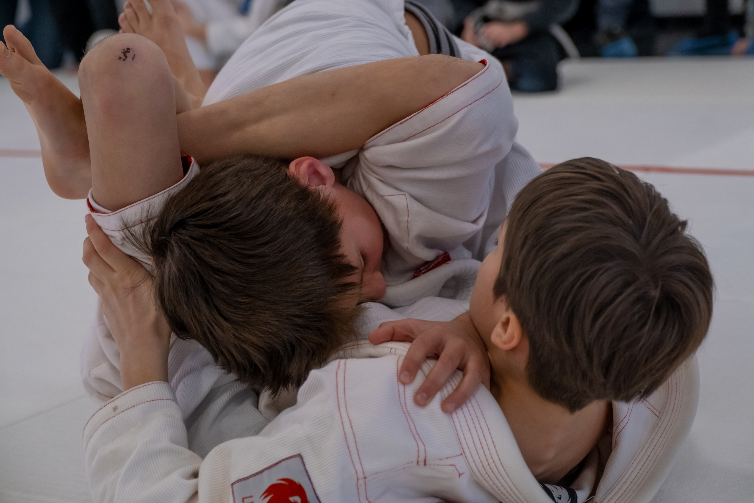 бжж, бразильское джиу-джитсу, соревнования по бразильскому джиу-джитсу, чемпионат России, неваза