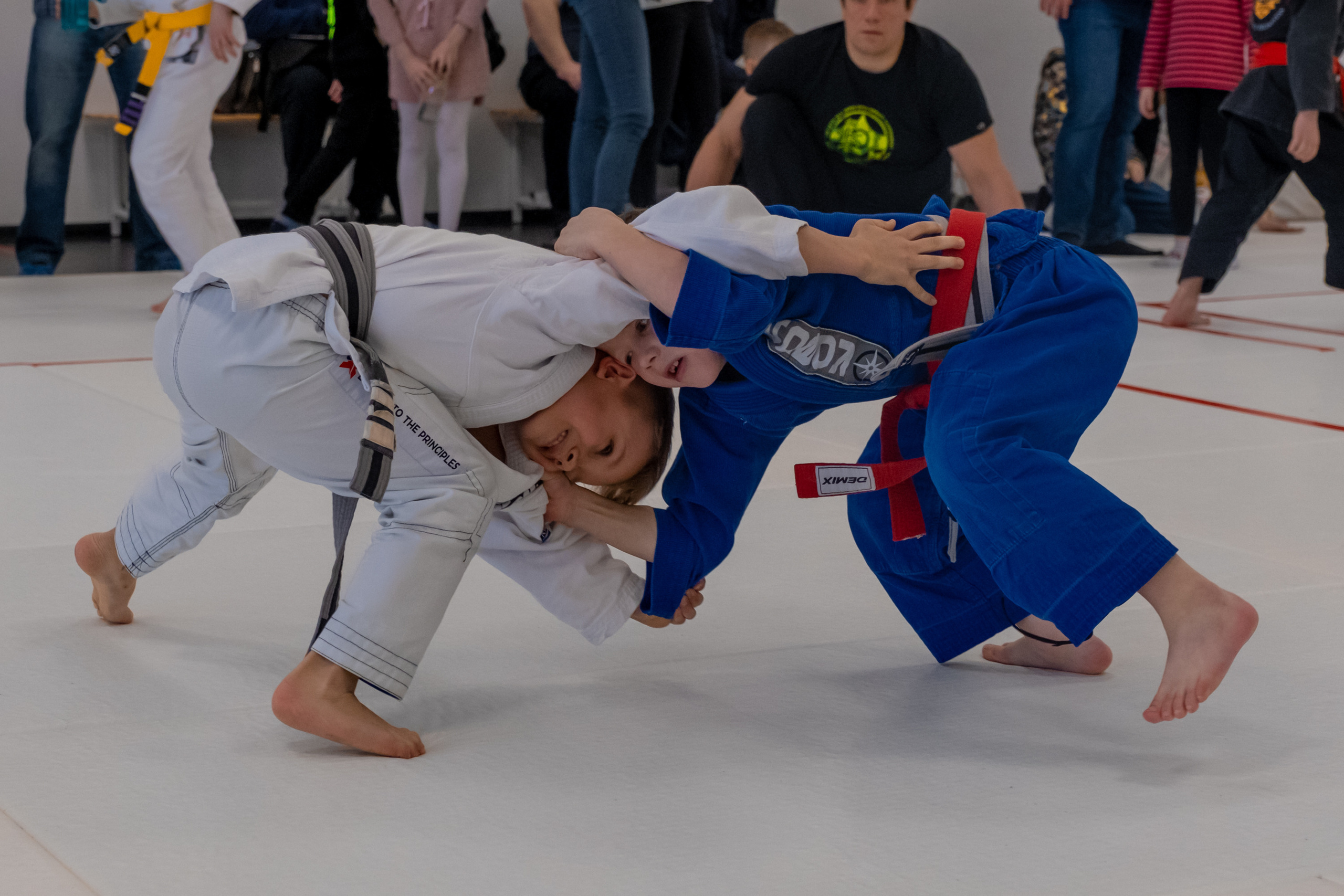 бжж, бразильское джиу-джитсу, соревнования по бразильскому джиу-джитсу, чемпионат России, неваза