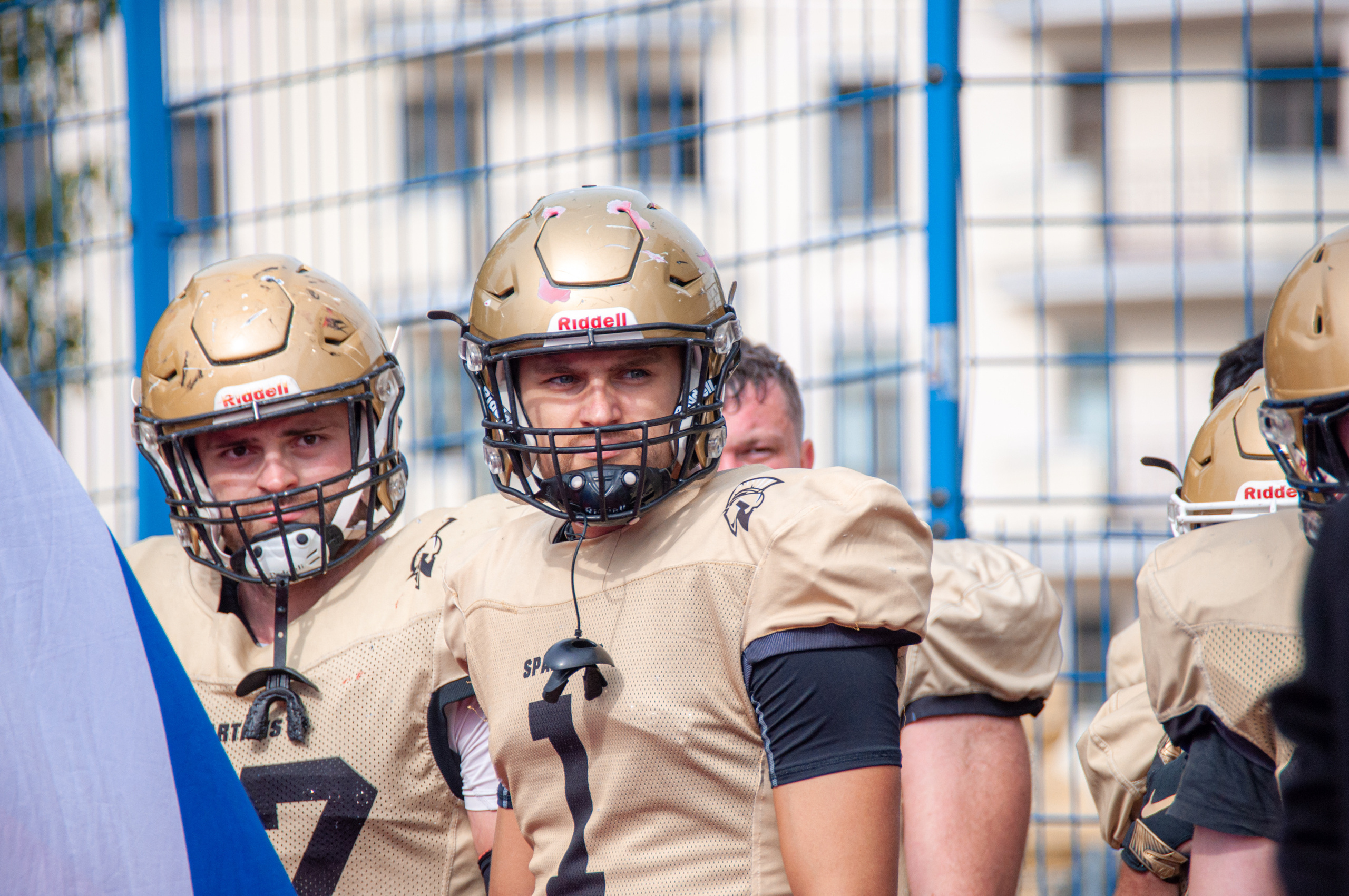 Американский футбол, амфут, регби, Гриффоны, Спартанцы, Легионеры