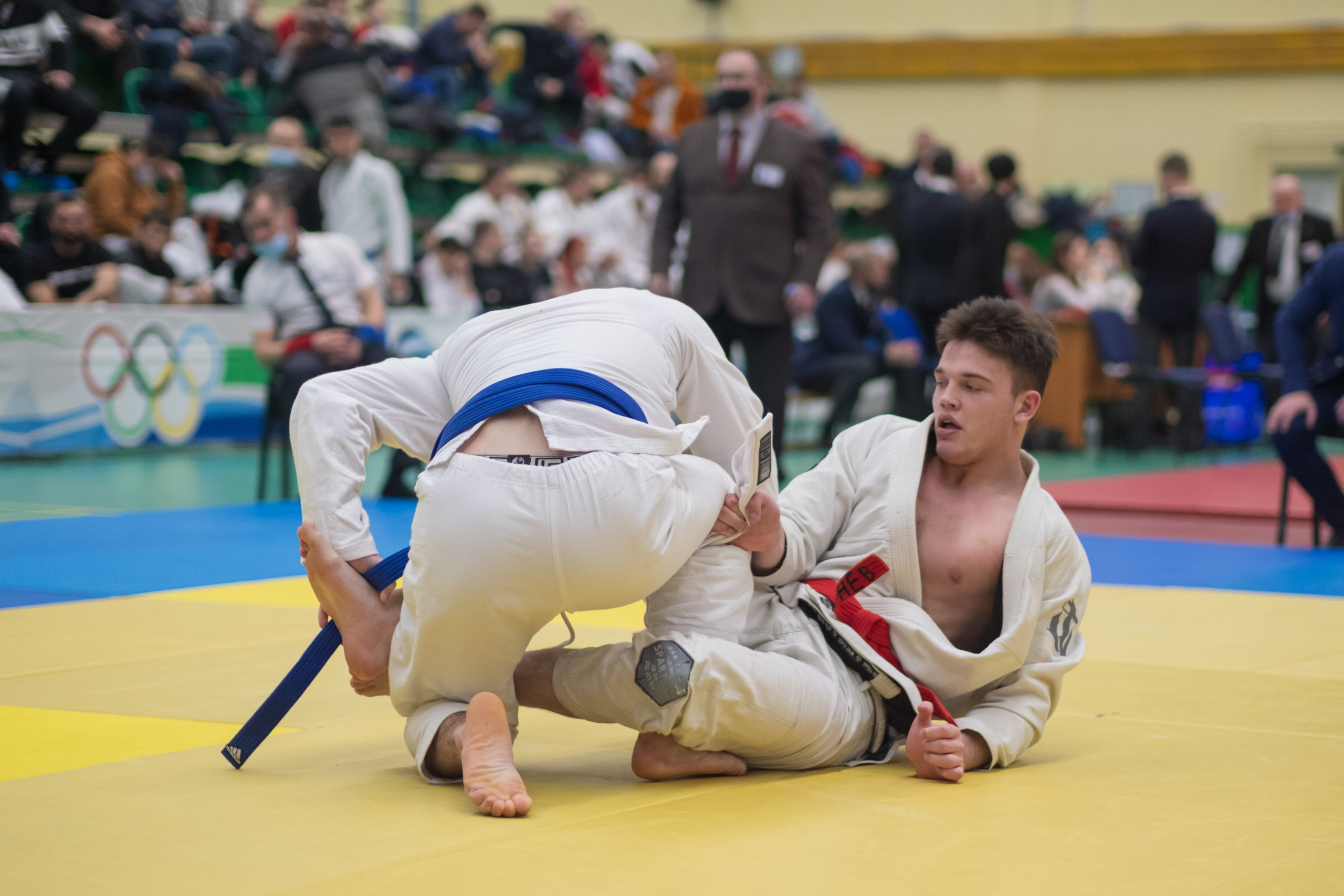 бжж, бразильское джиу-джитсу, соревнования по бразильскому джиу-джитсу, чемпионат России, неваза