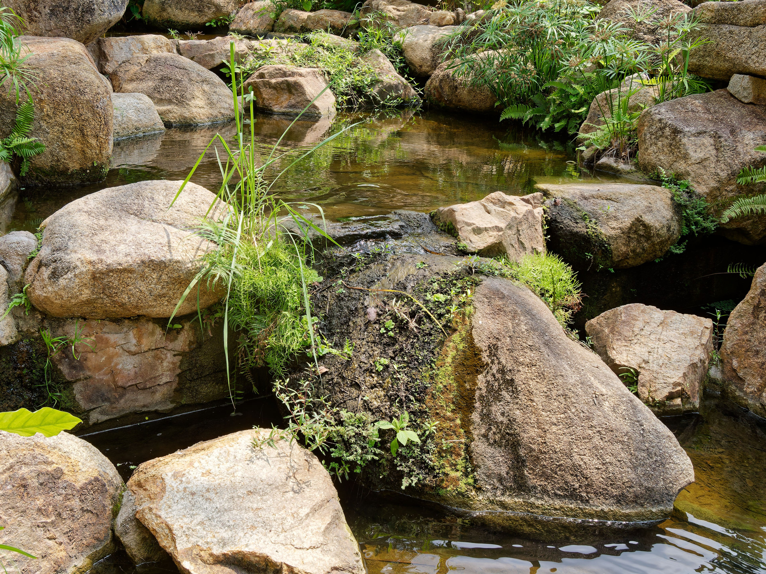 Хайнань 2026, отель «Stony Brook Villa Jianguo Resort Sanya 4*». Фотопрогулки по Миру
