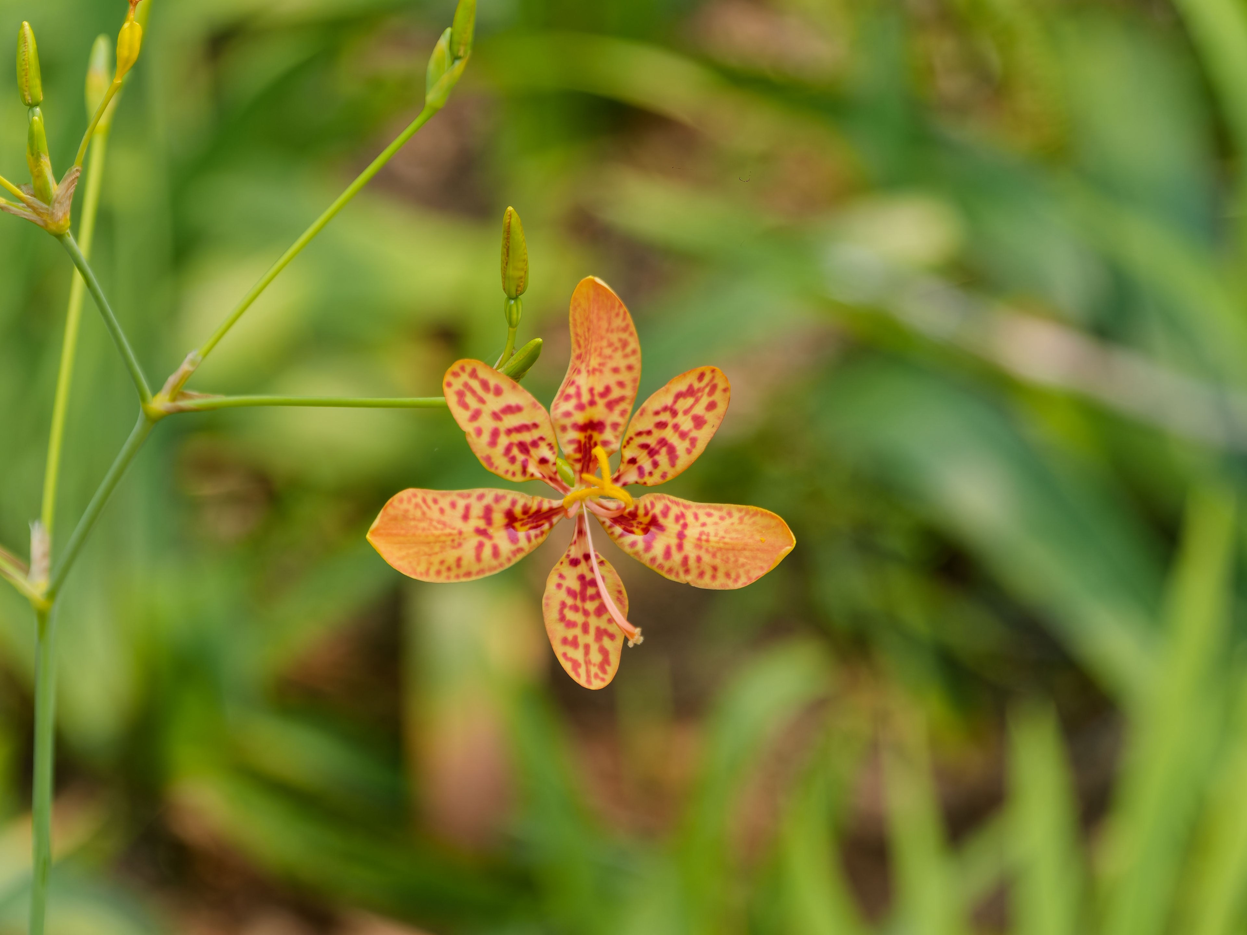 Хайнань 2026, первые впечатления. Фотопрогулки по Миру