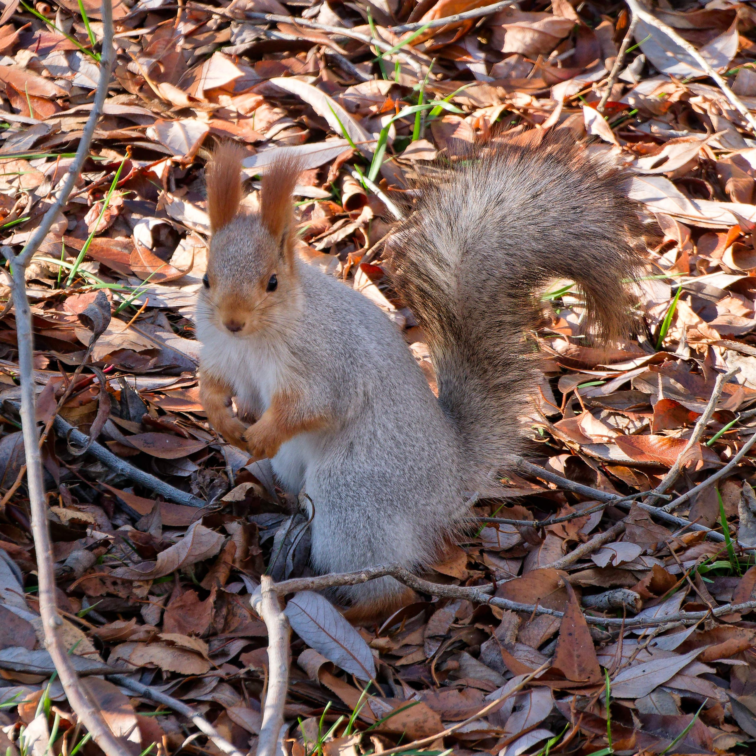 Боровое 2023 (из архива). Избранные фотографии