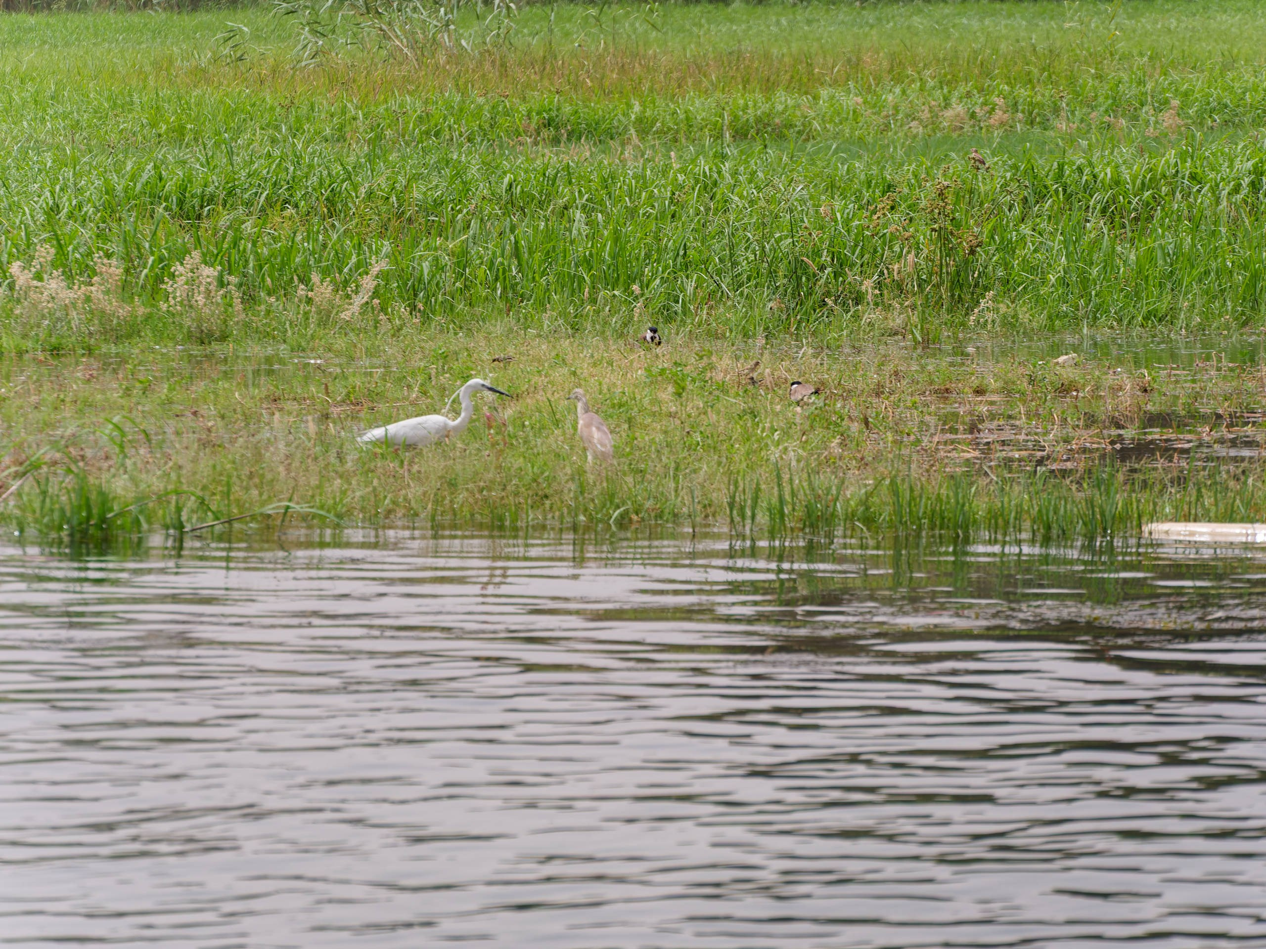Луксор 2022, Нил, Долина царей. Избранные фотографии