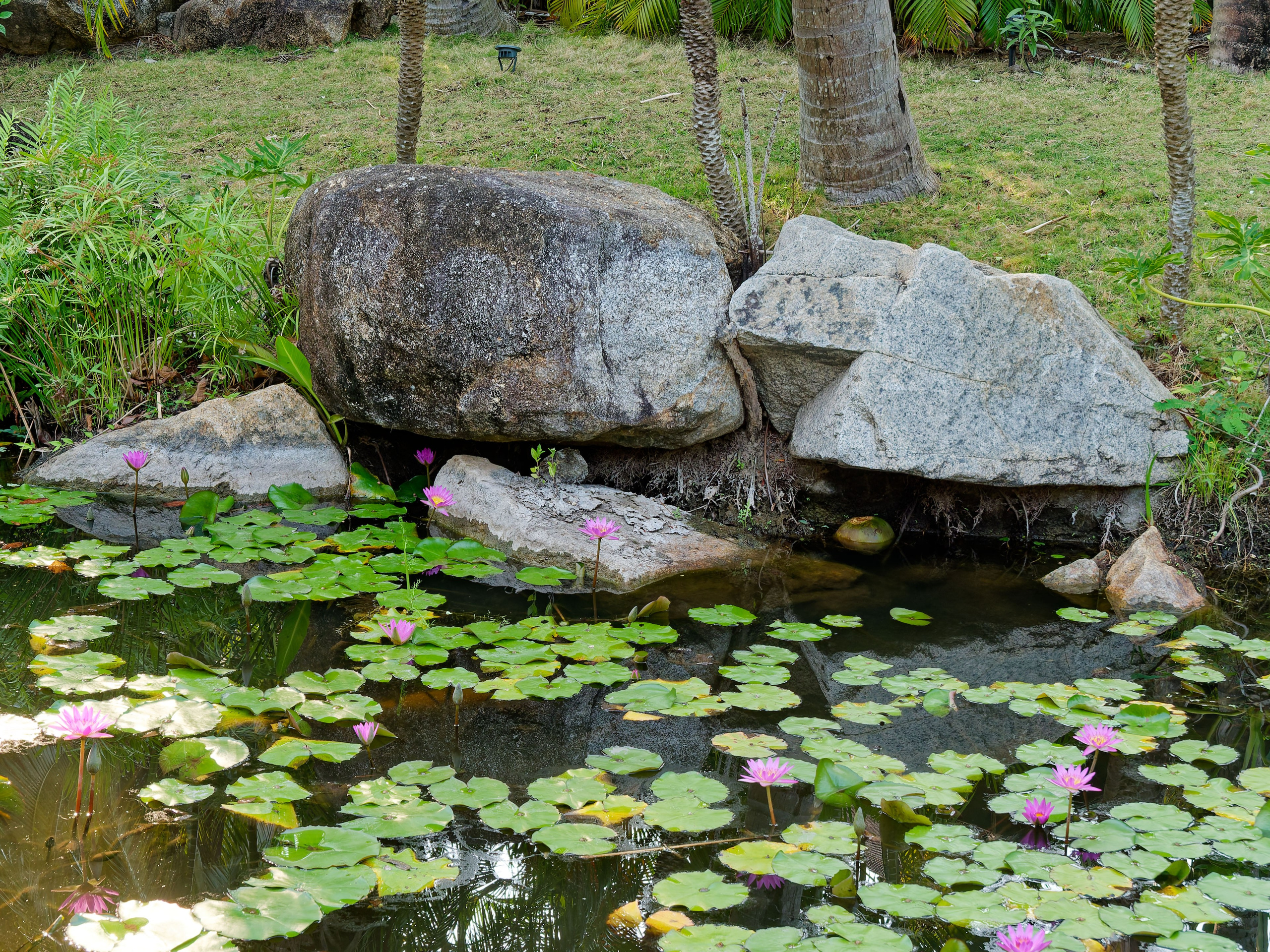 Хайнань 2026, отель «Stony Brook Villa Jianguo Resort Sanya 4*». Фотопрогулки по Миру