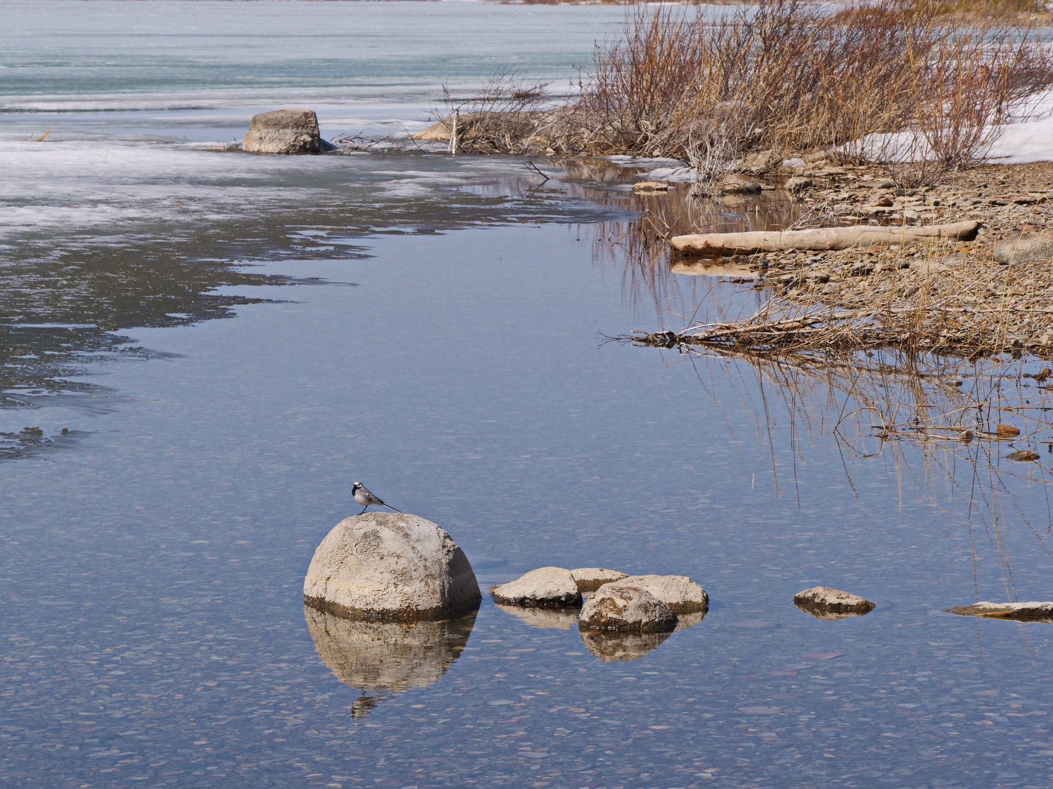 Боровое 2021 (из архива). Избранные фотографии