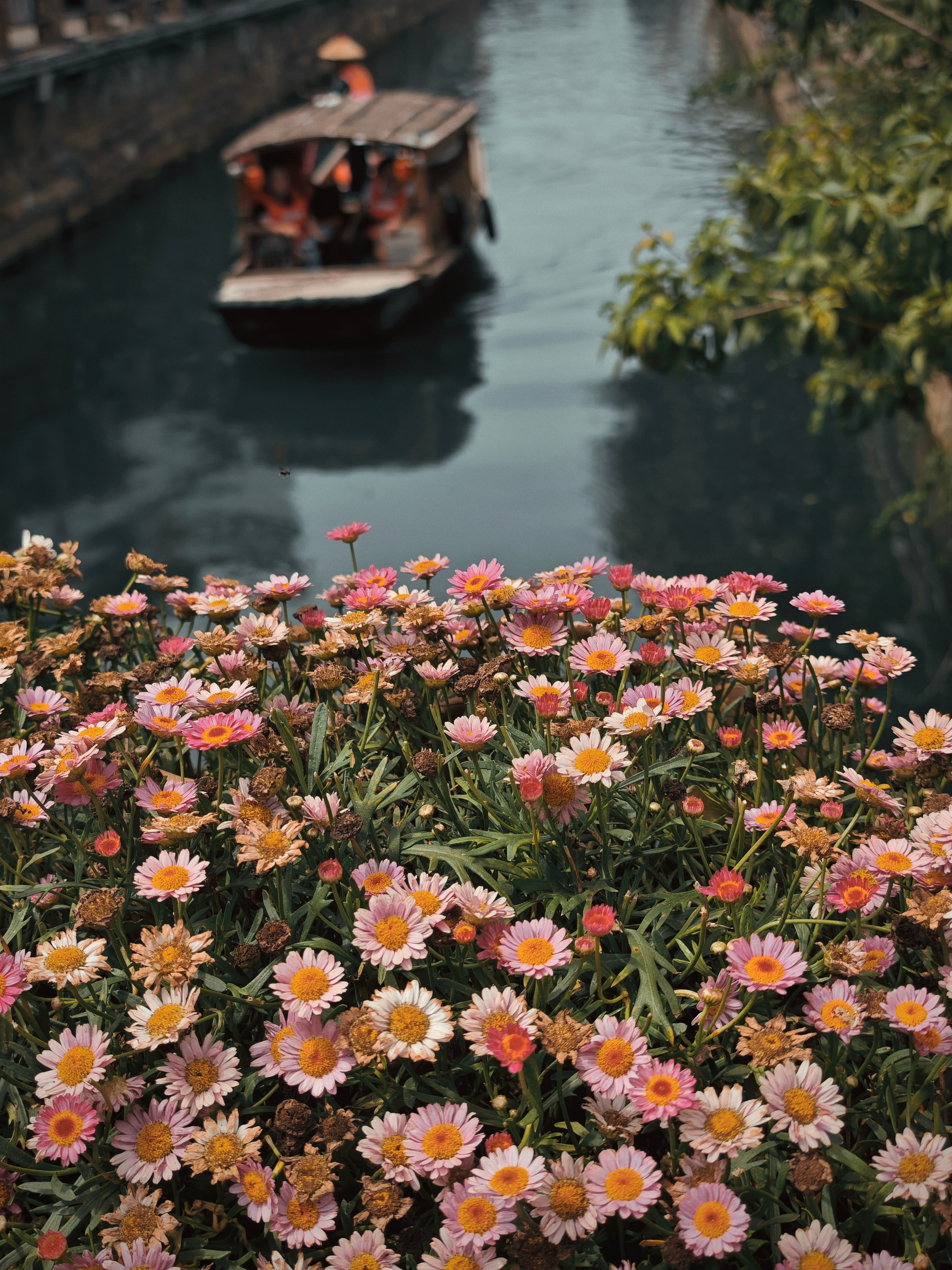 The Great Journey to China. Brjankin.com