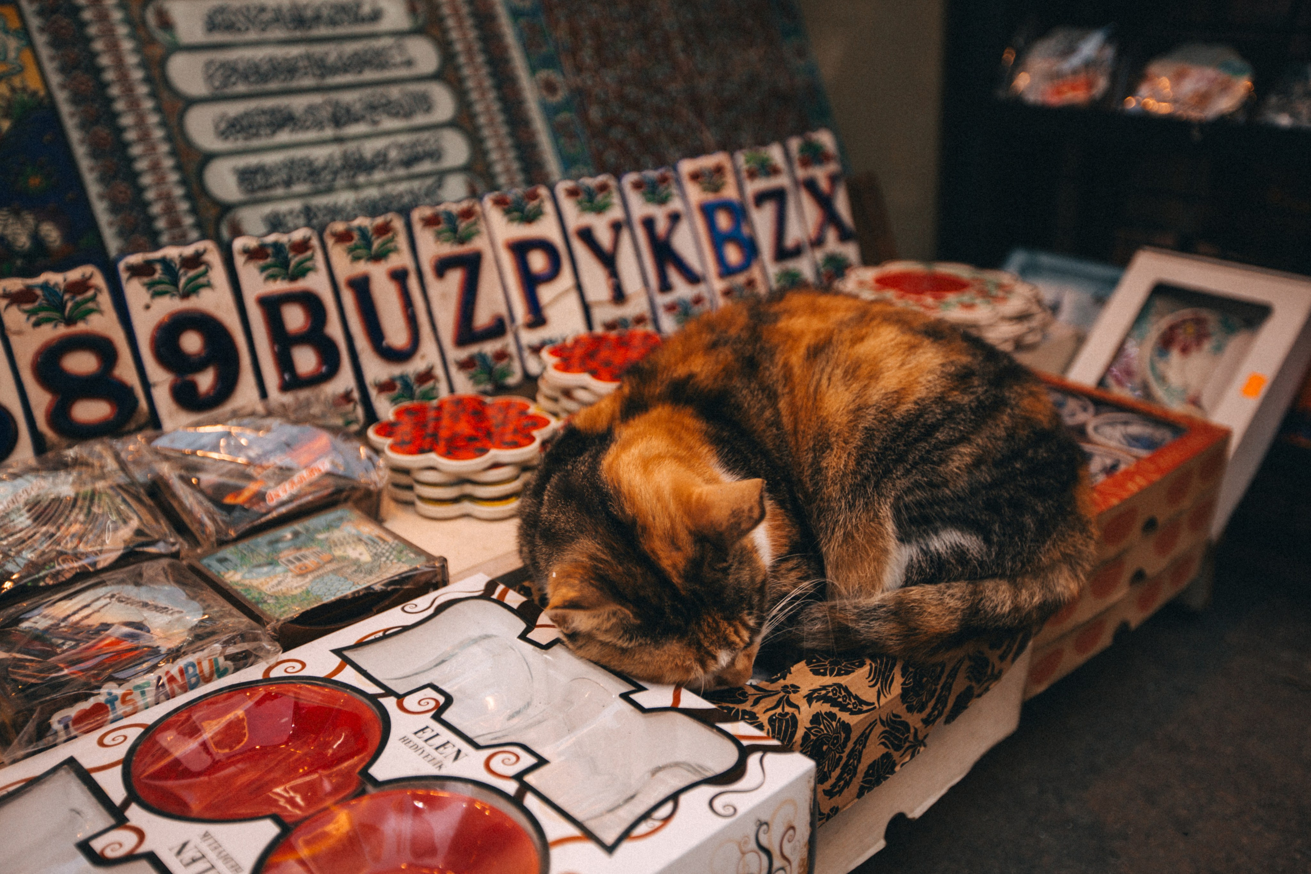 Istanbul, Turkey. Свадебный фотограф Москва и МО Паншина Дарья