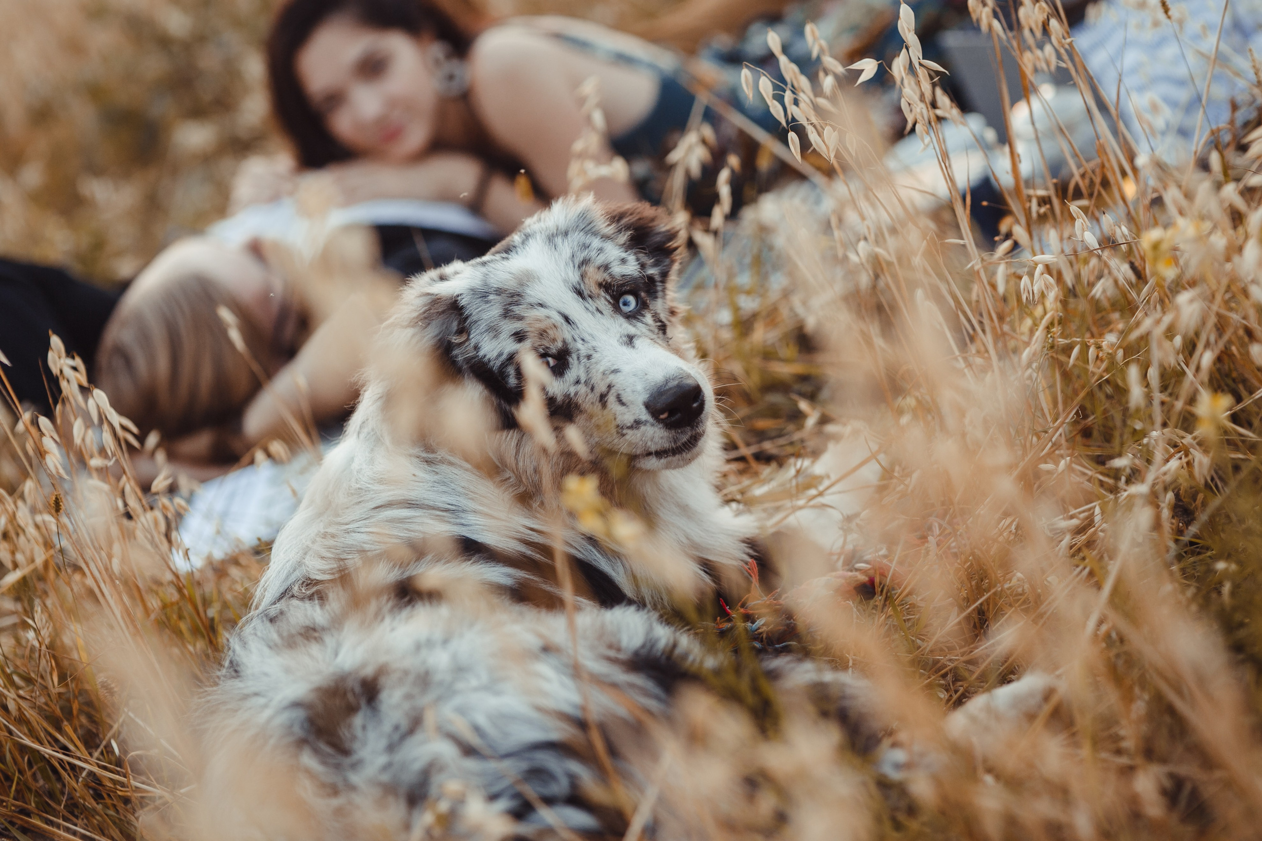 Mike. PHOTOGRAPHER romanoff-egor