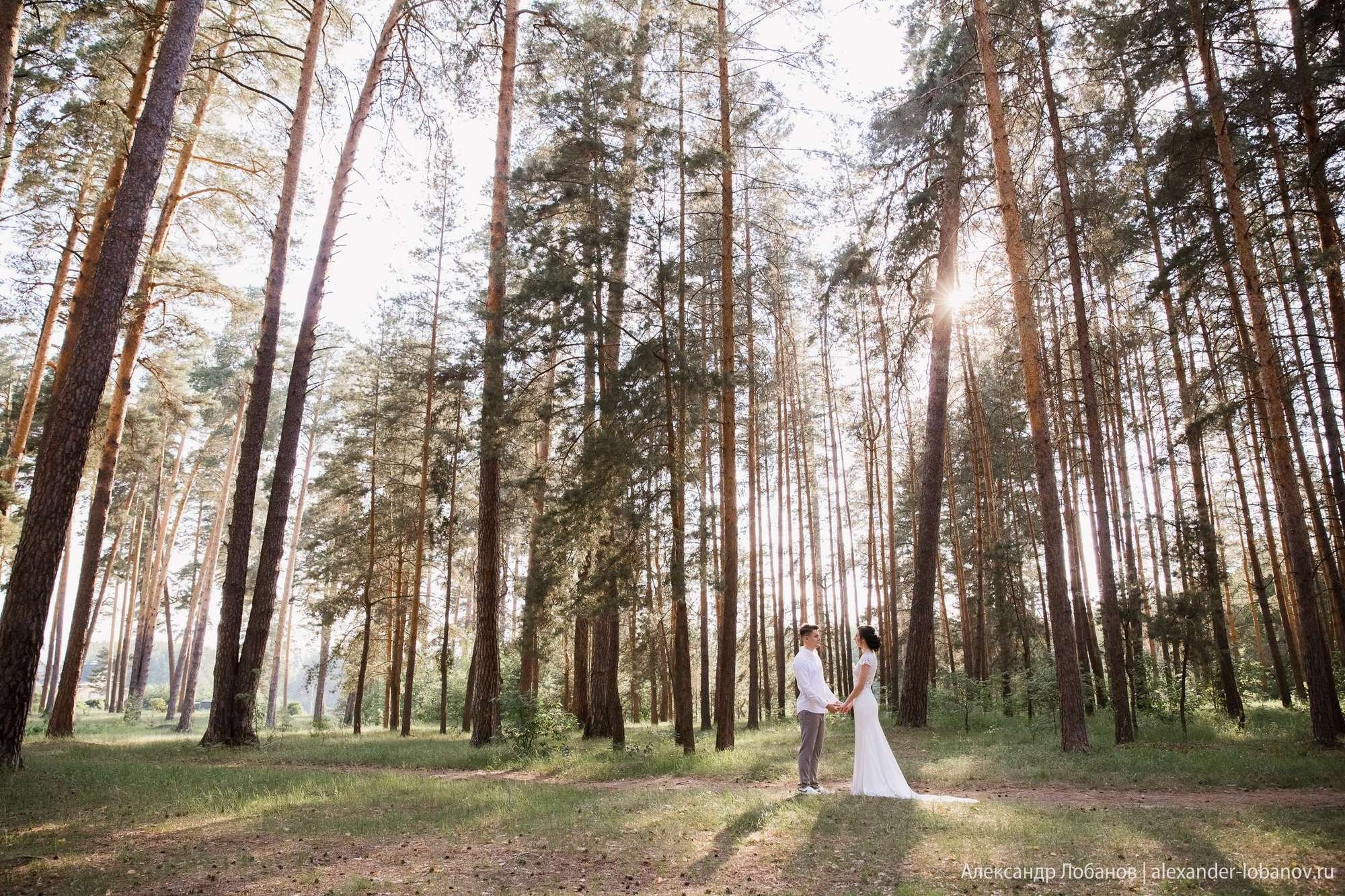 Свадьба Антона и Татьяны