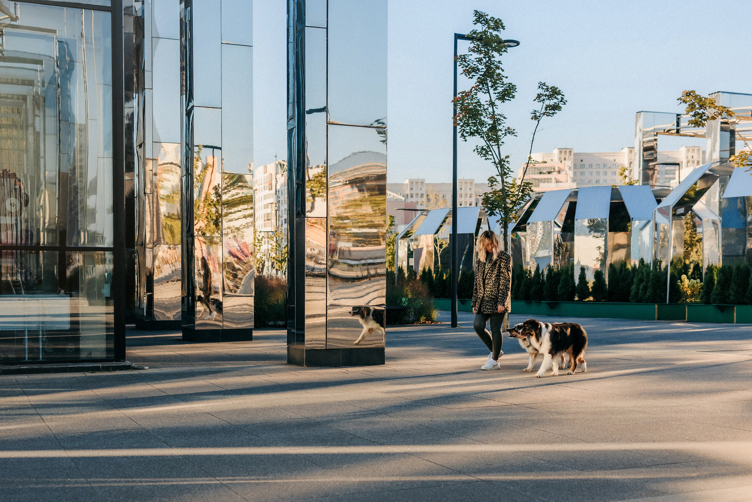 Аня, Чарли и Ева. Фотограф-анималист Елена Радченко, Москва