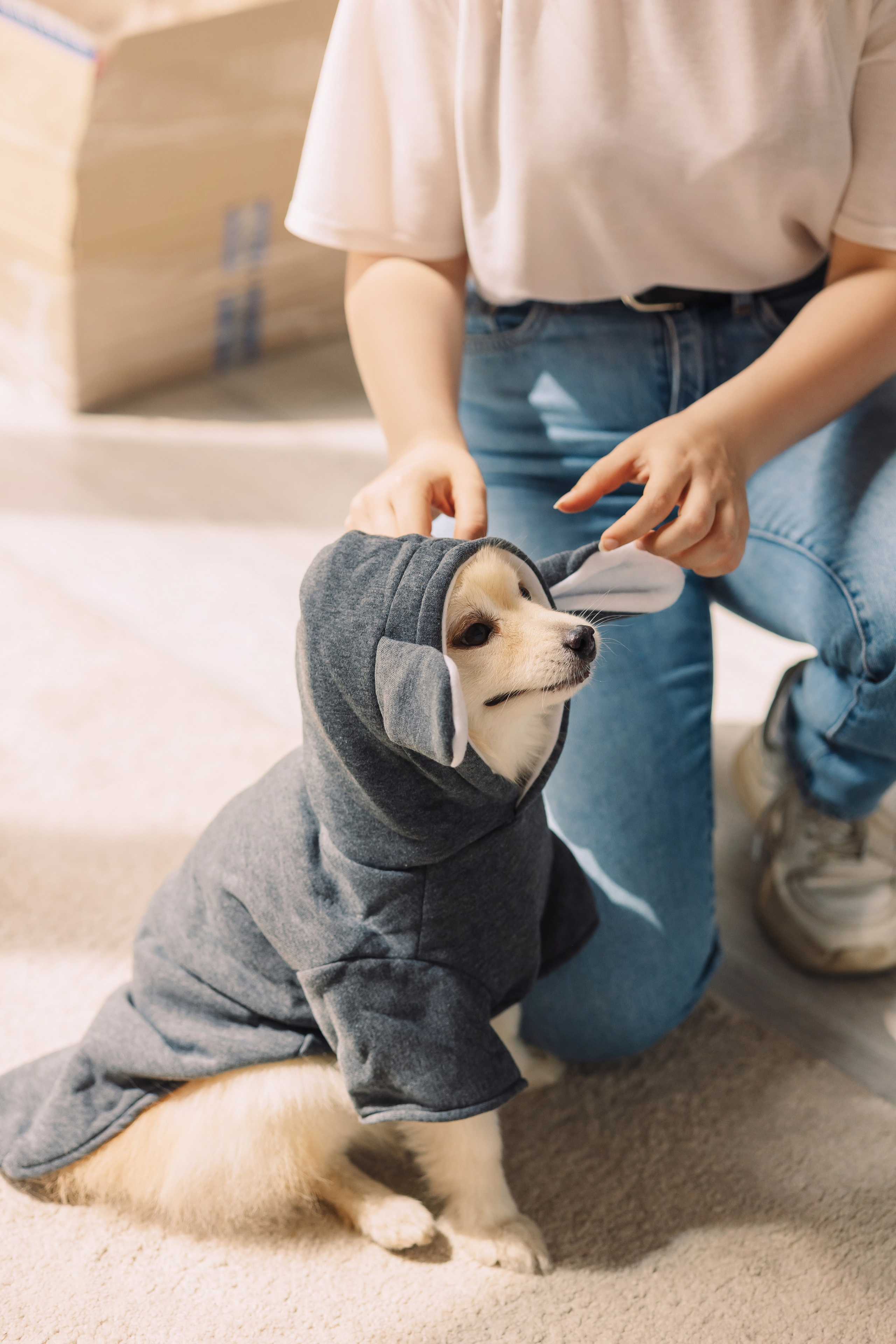Магазин Friend of mine. Фотограф-анималист Елена Радченко, Москва