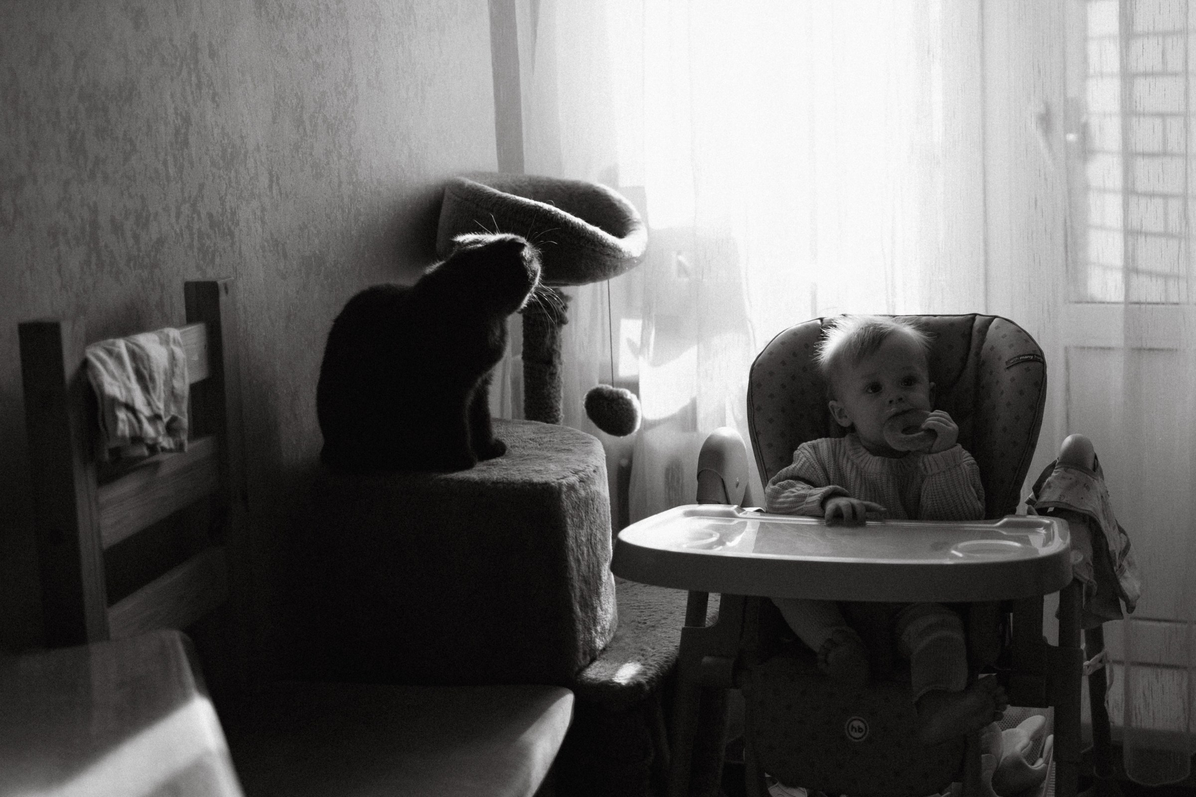 Я люблю тебя, мамочка!. Фотограф Daria Wilner