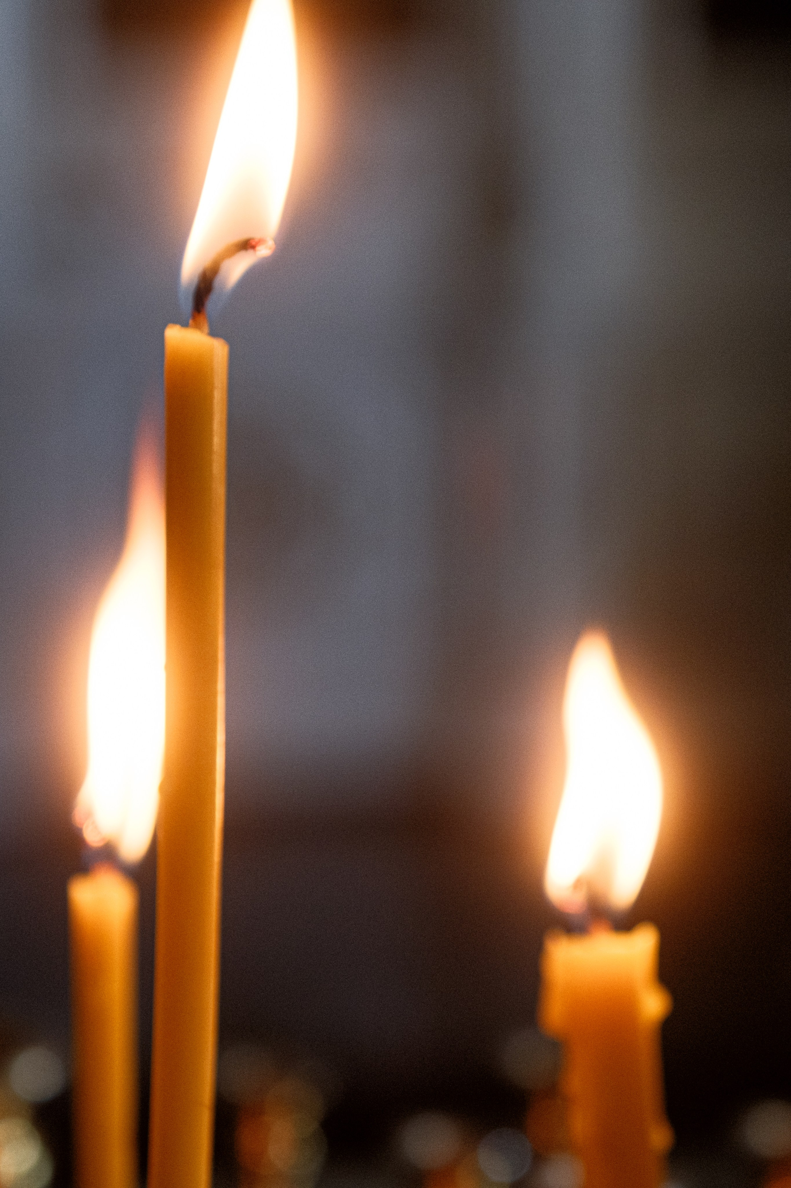 Две Здезды — Храм 19 века. Свадебный Видеограф Фотограф в Сочи