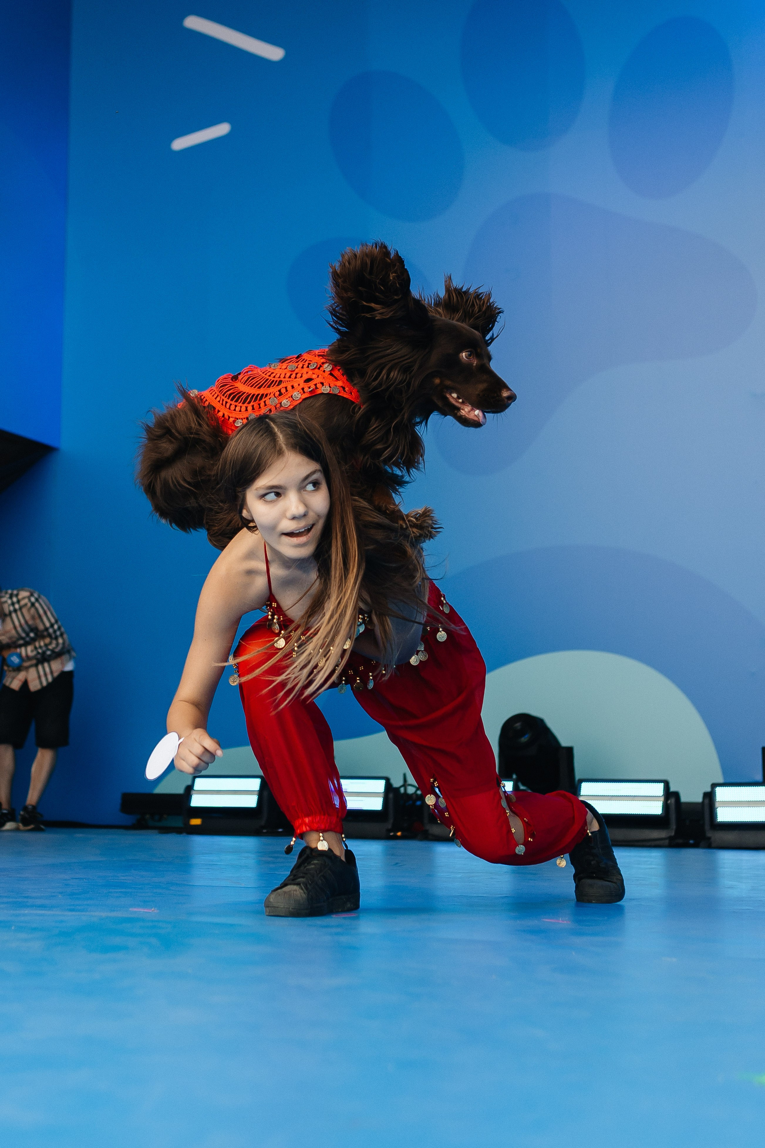 ФЕСТИВАЛЬ VK «ЛАПКИ» | 2025, МОСКВА. Five Media — репортажный фотограф Москва | Мск