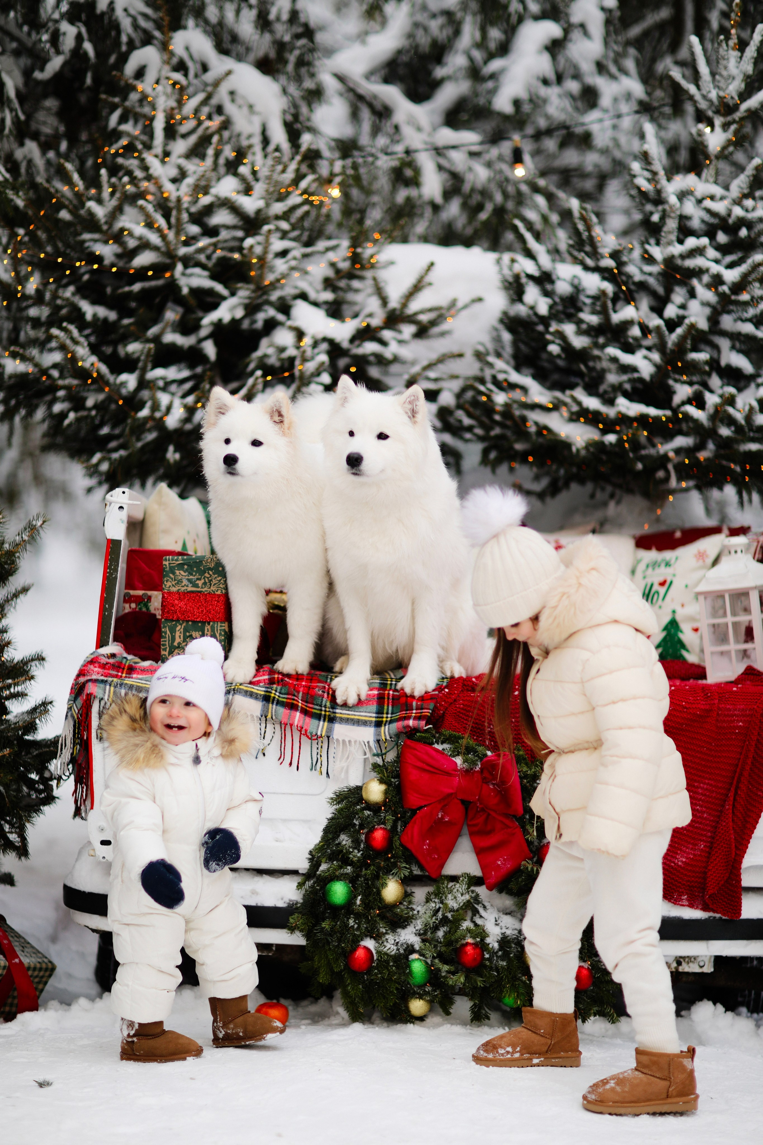 Winter Tale (зимняя детская фотосессия с самоедами). Семейный и детский фотограф Москва