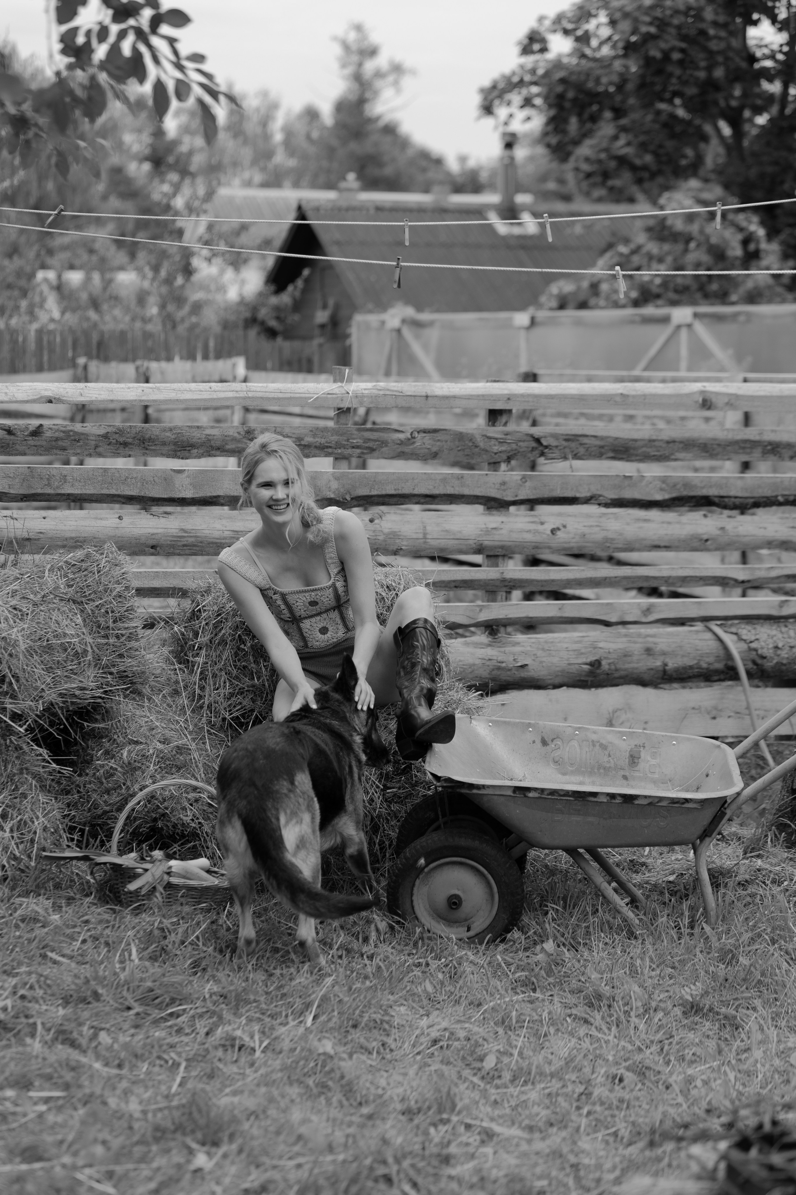 На ферме. @dariazphoto свадебный фотограф