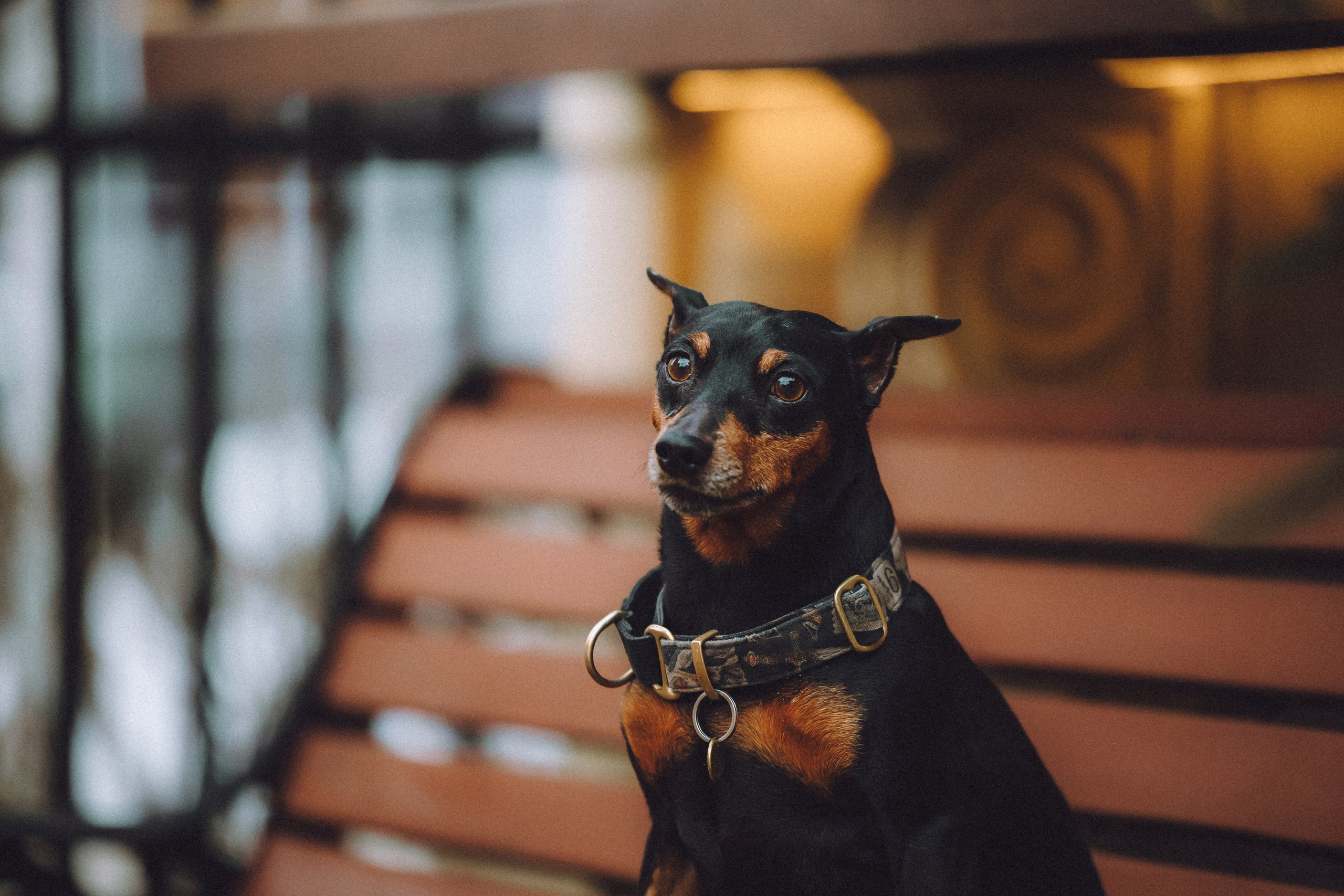 Топик и его семья