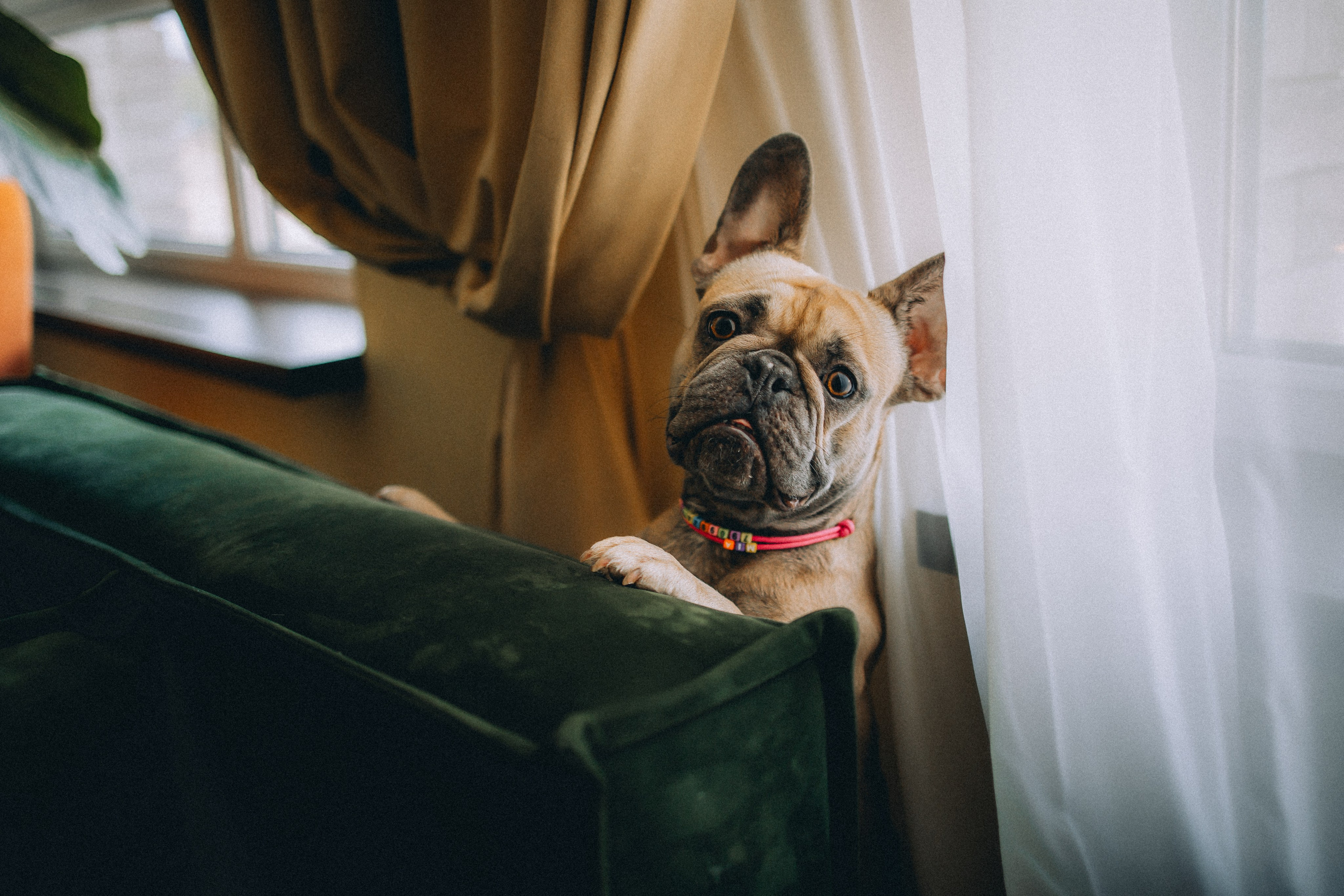 Юля, Мия и Зек