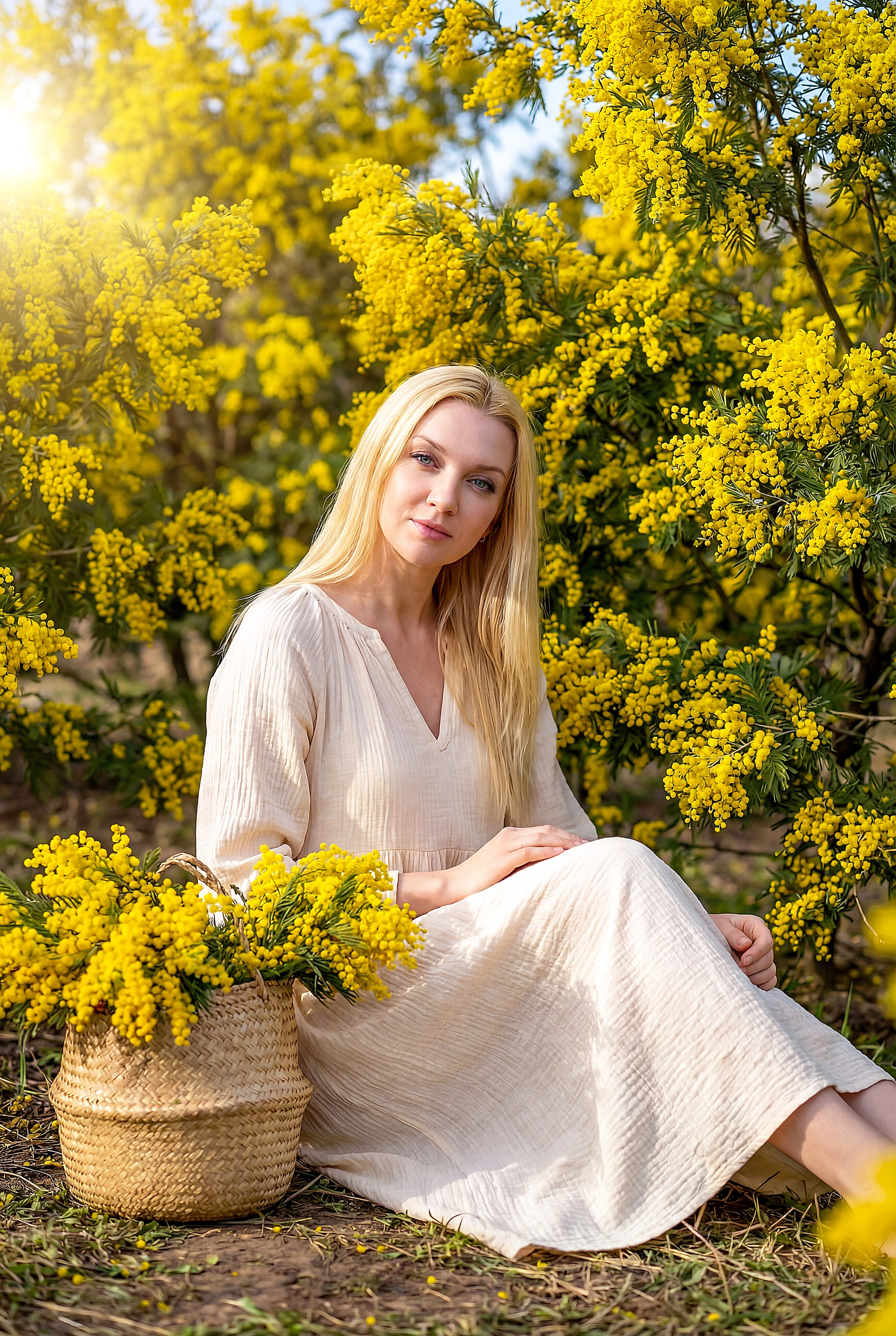 Мимоза. Шаблоны и дизайны выпускных альбомов и фотокниг