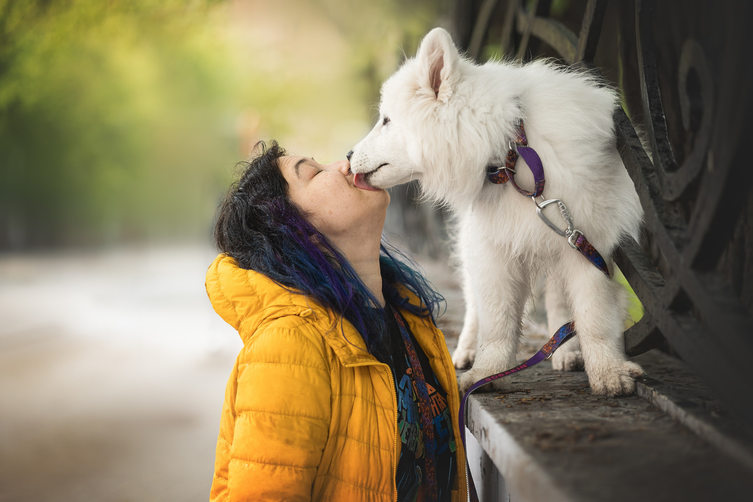 Кая и Даяна. Фотограф анималист в Москве Майорова Евгения