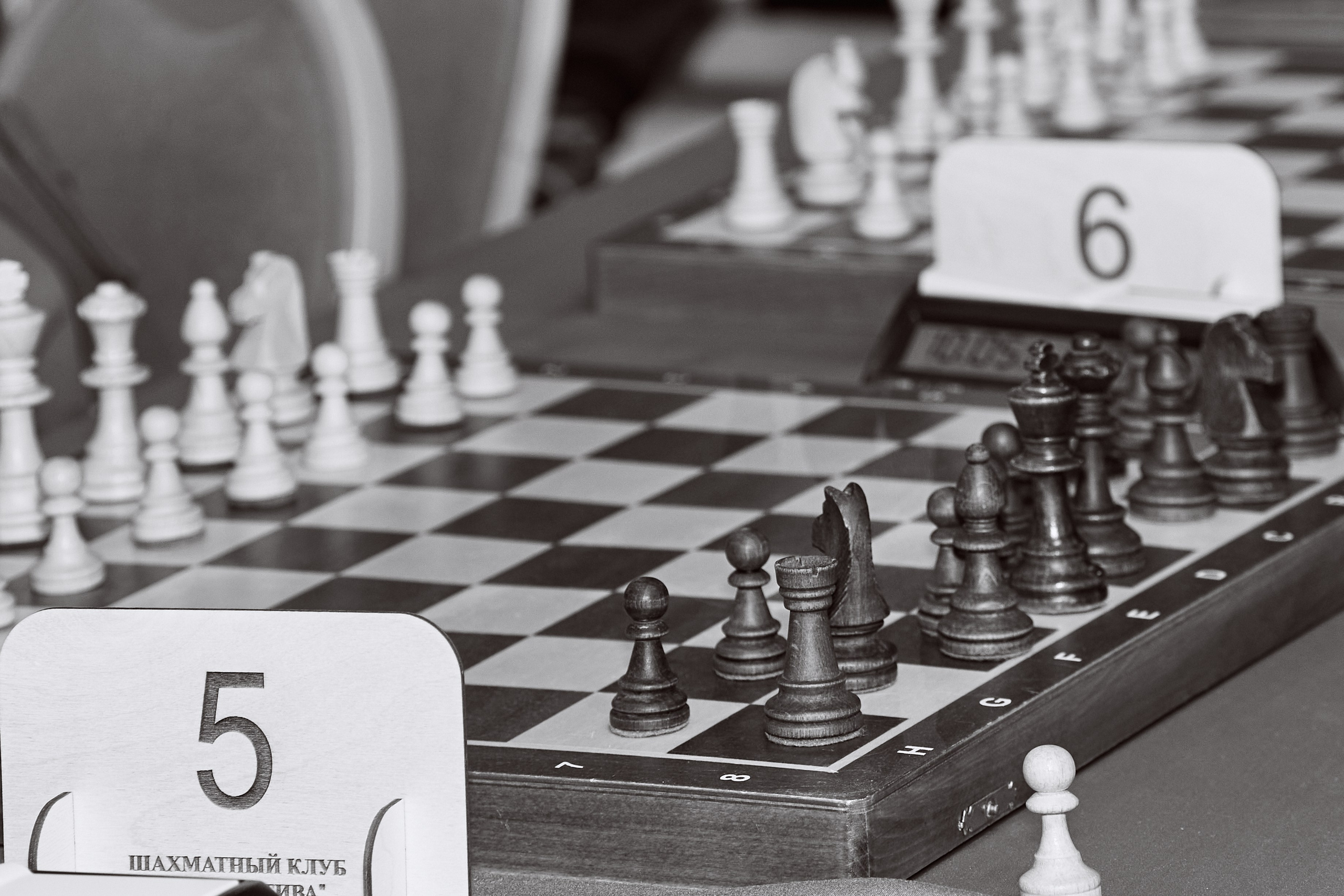 Chess tournament. Фотограф Махлаева Виктория/Санкт-Петербург