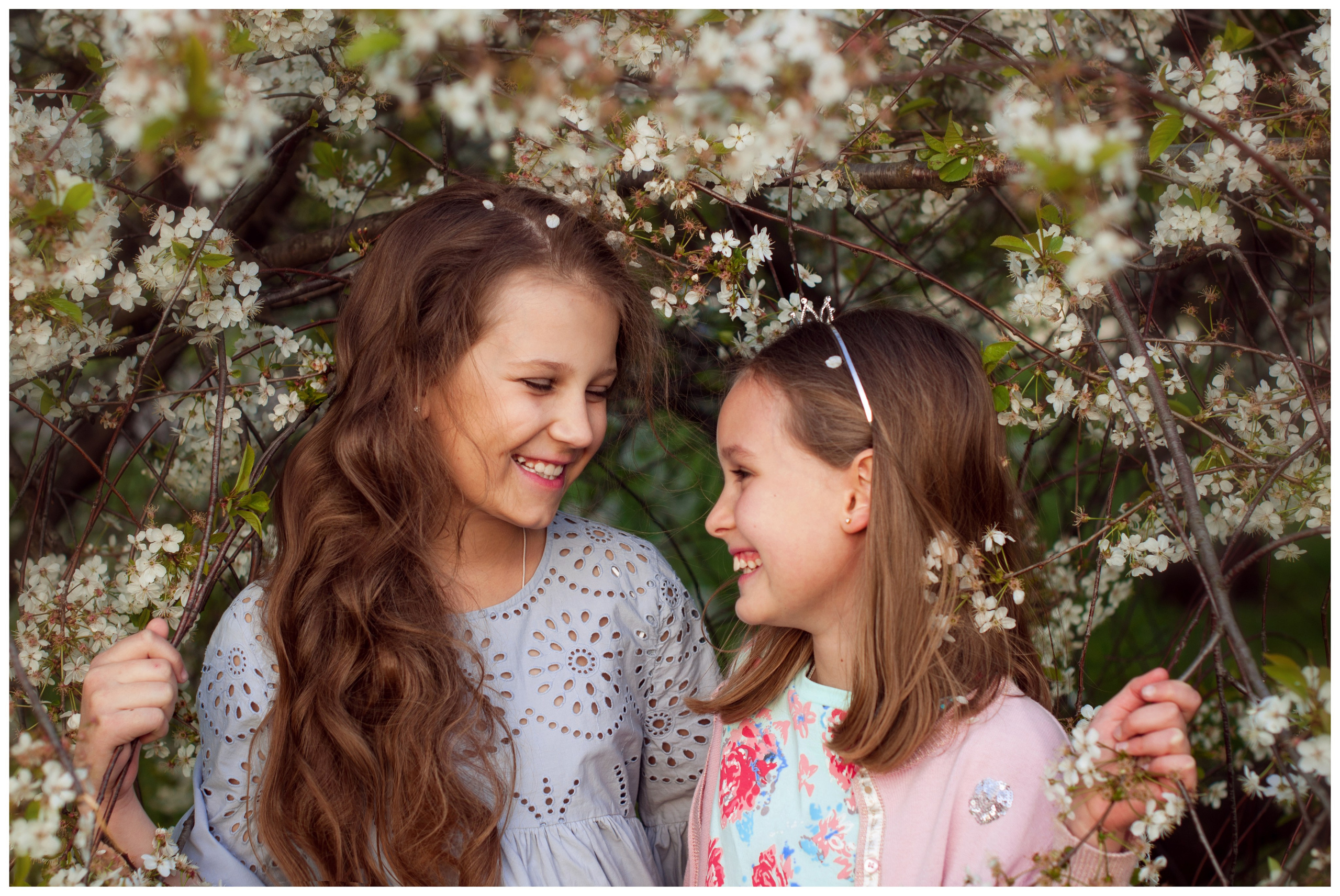 Свадьба. Family photographer Israel