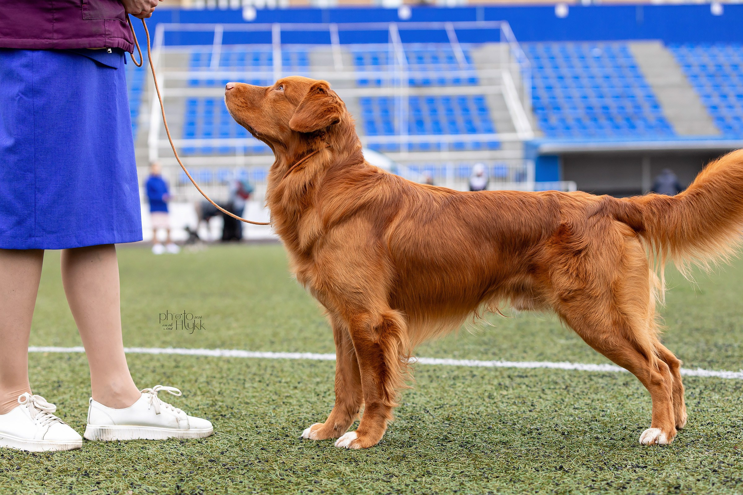 26 мая 2024, Выставка РКФ, г. Пермь. Htykk_photo