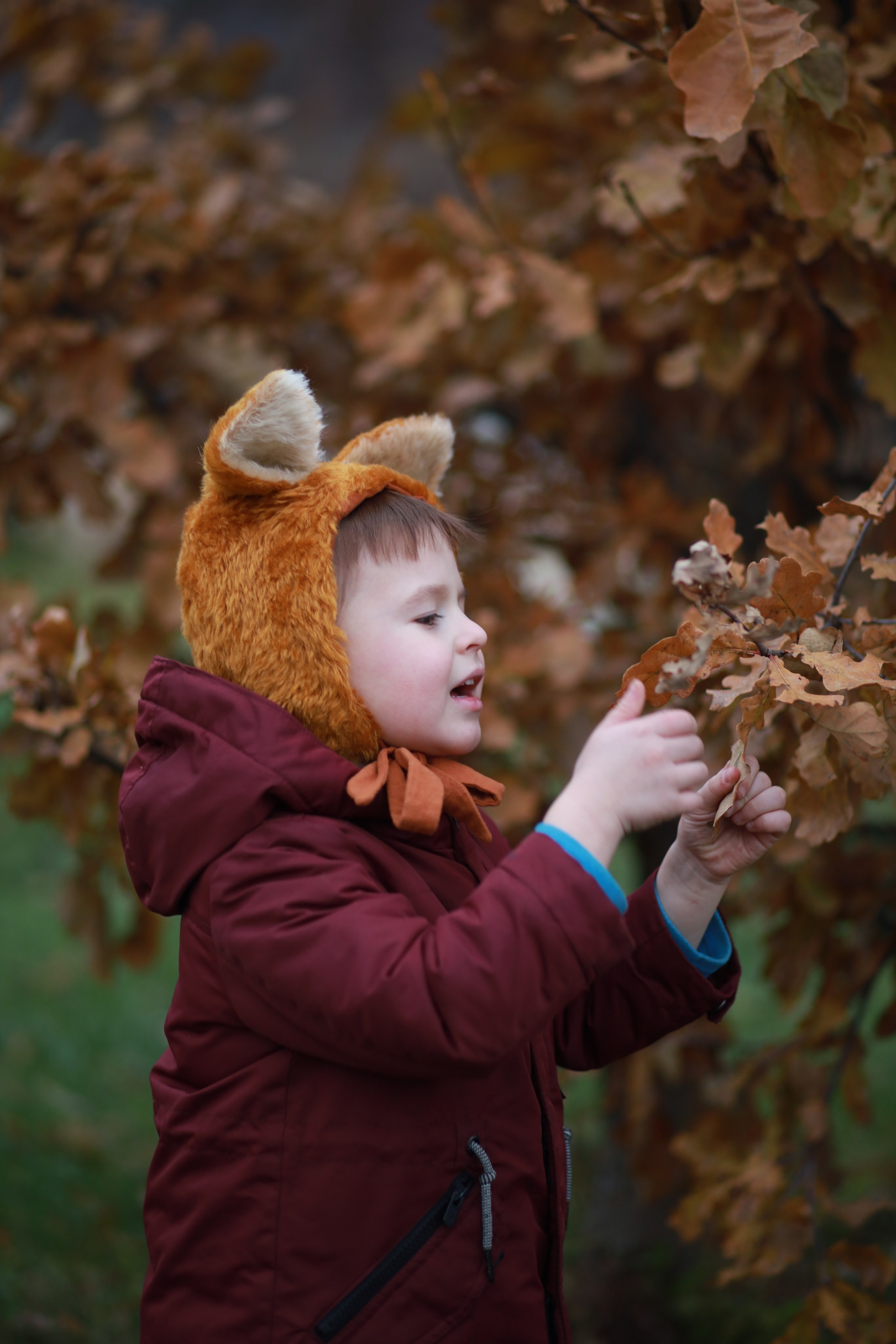 ЛИСЯТА. Арт-фотограф в Москве Елена Иванова