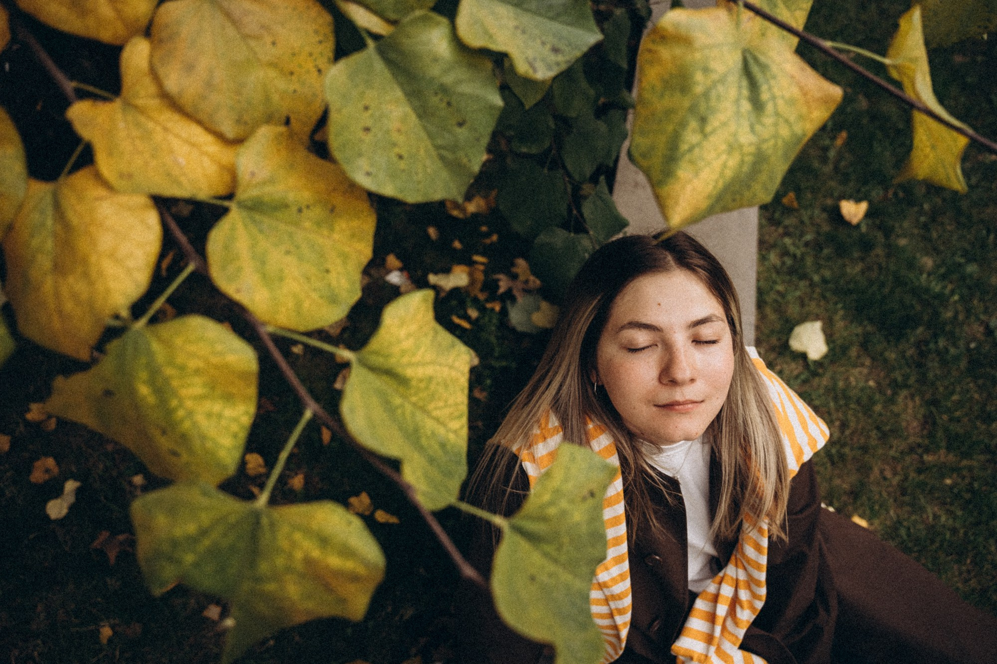 Осенние листья. Сфотографировать их все. Даша Яковенко Фотограф Спб