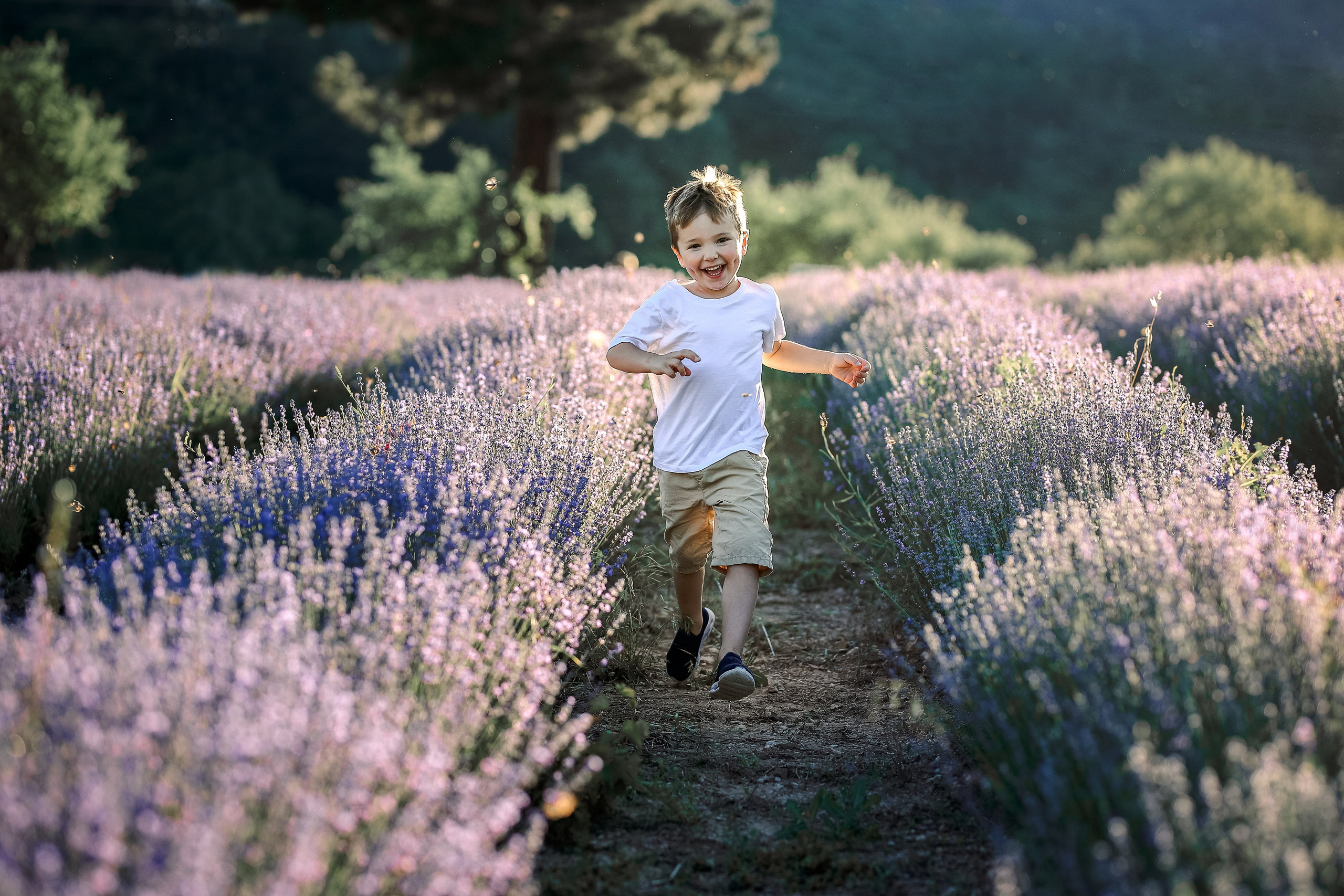 Lavender in Antalya