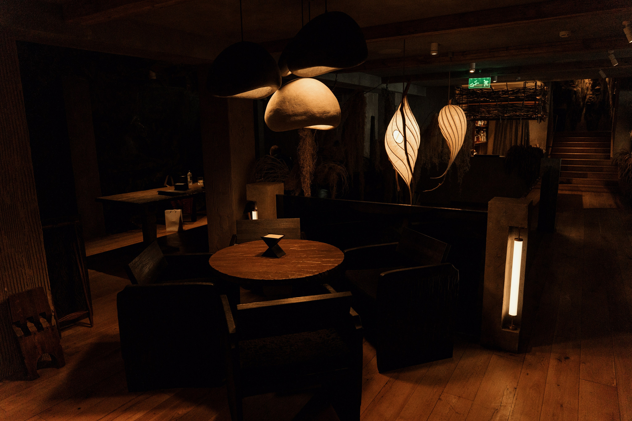 MAYR VEDA. Yankovski_001