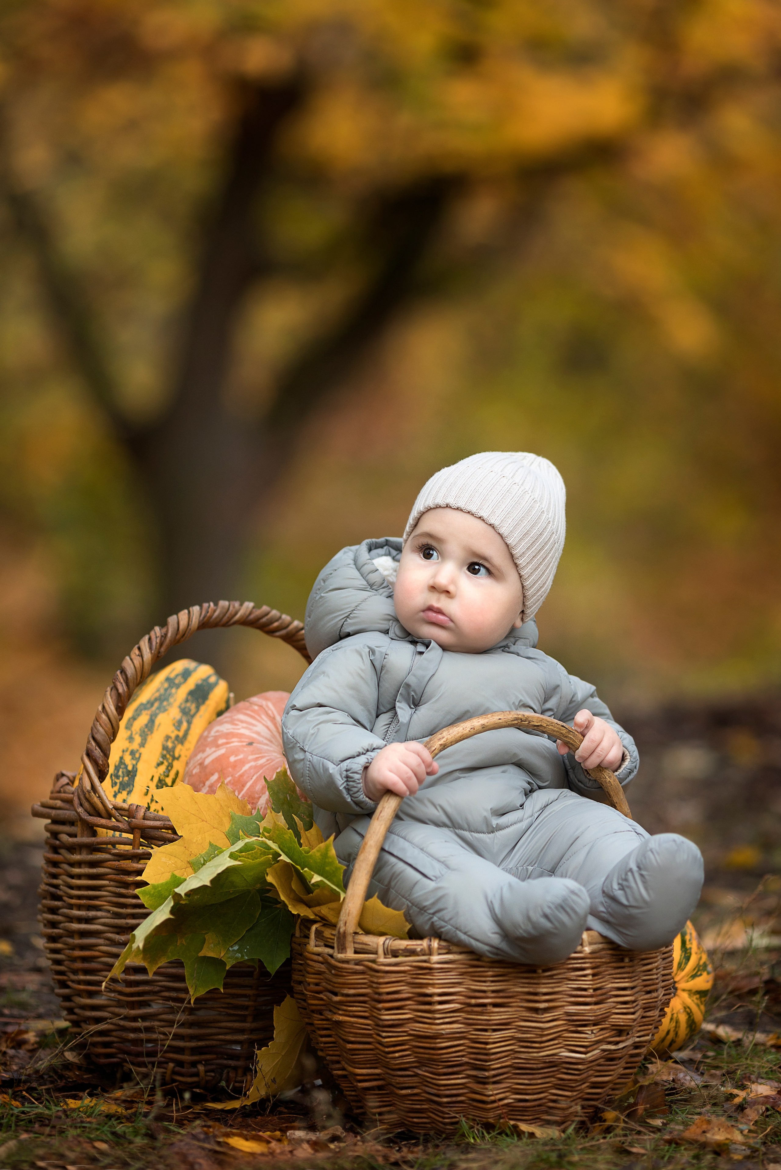 Семейные, детские съемки на природе. Главная