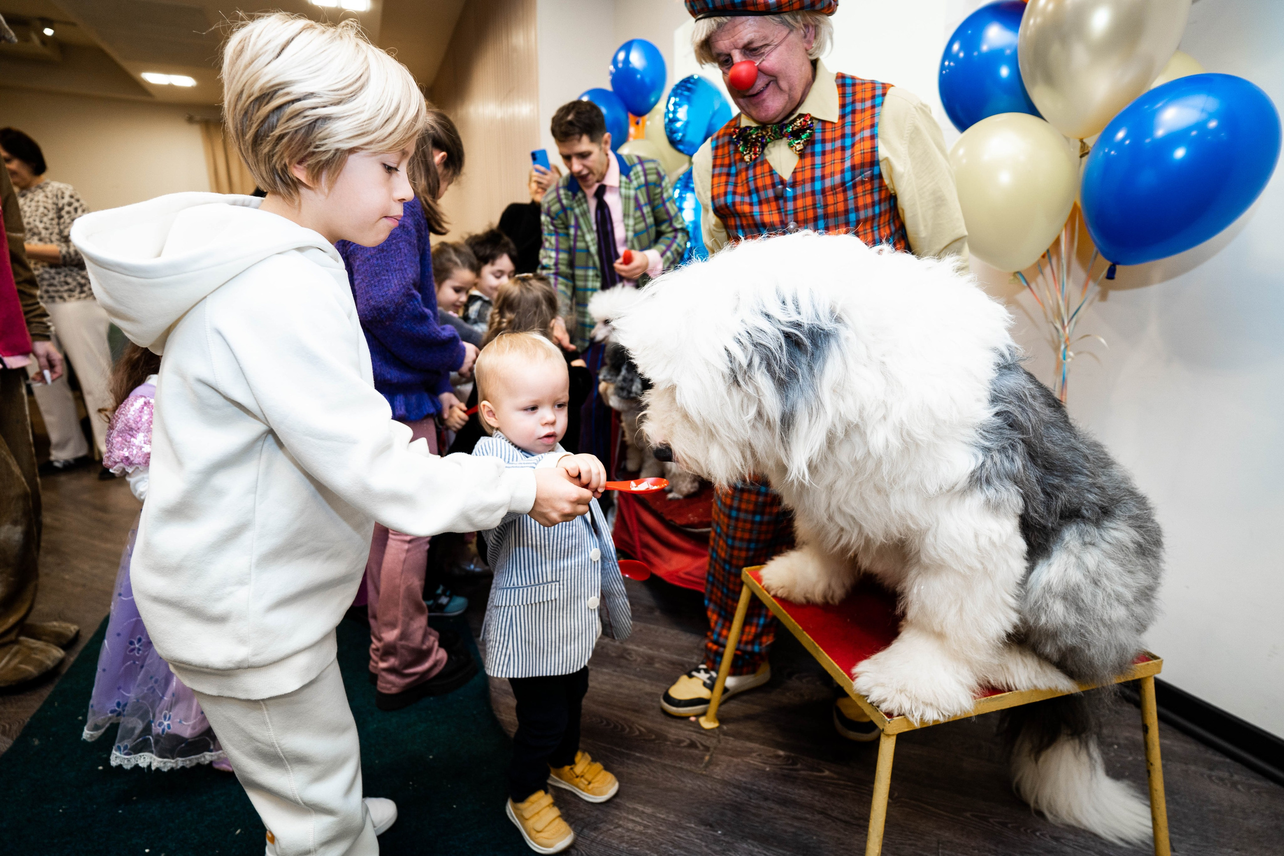 Даниэль h-day. Фотограф Абакумова Анастасия
