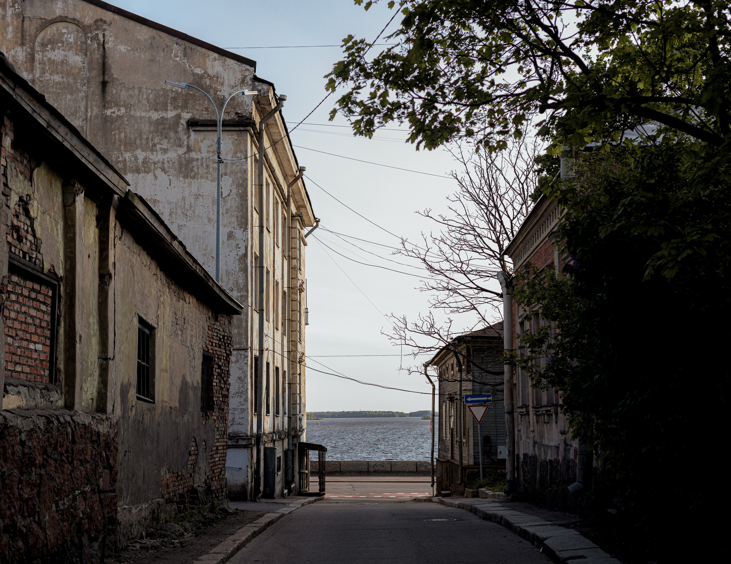 Пейзажи. Привет, я Лиза, я  занимаюсь портретной фотографией всех направлений в Санкт-Петербурге