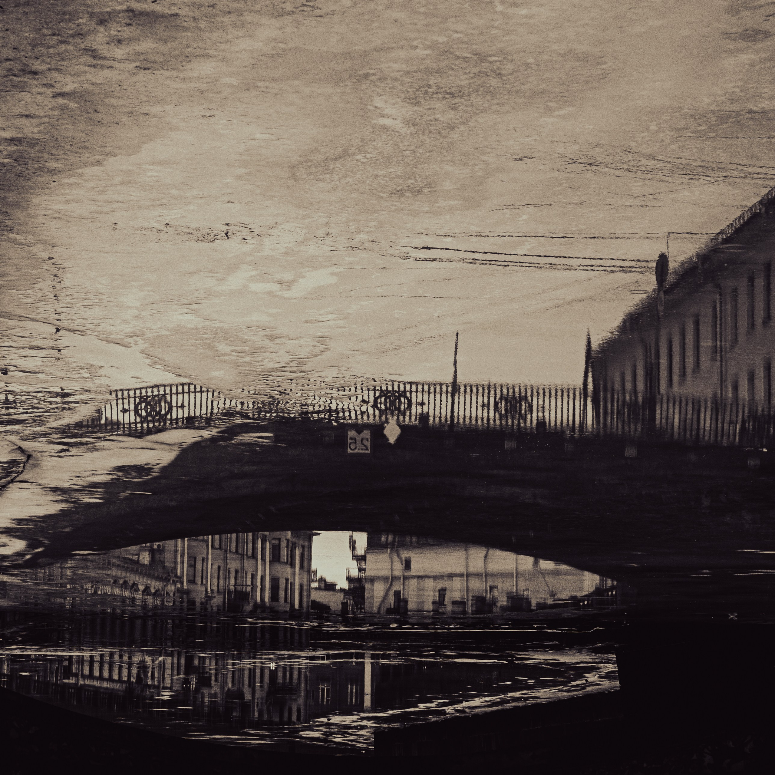 Зазеркалье 2025. Яна Каменская