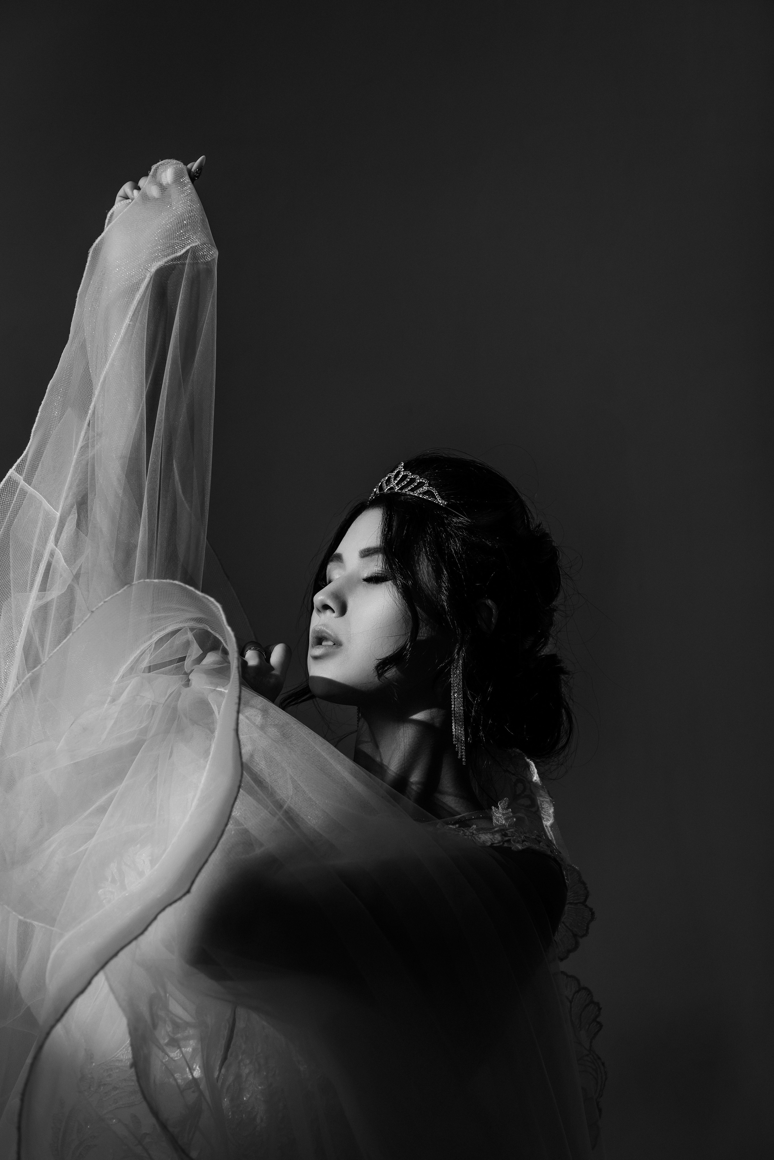 Фотография невесты в студии на жестком свете с фатой