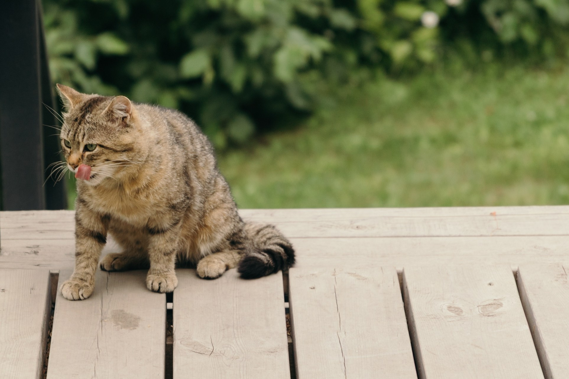 Радимир и Виктория