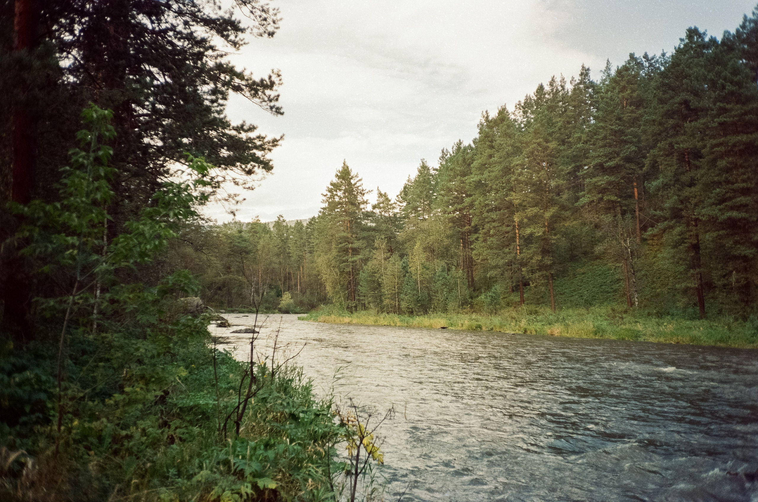 Горно-алтайский ботанический сад