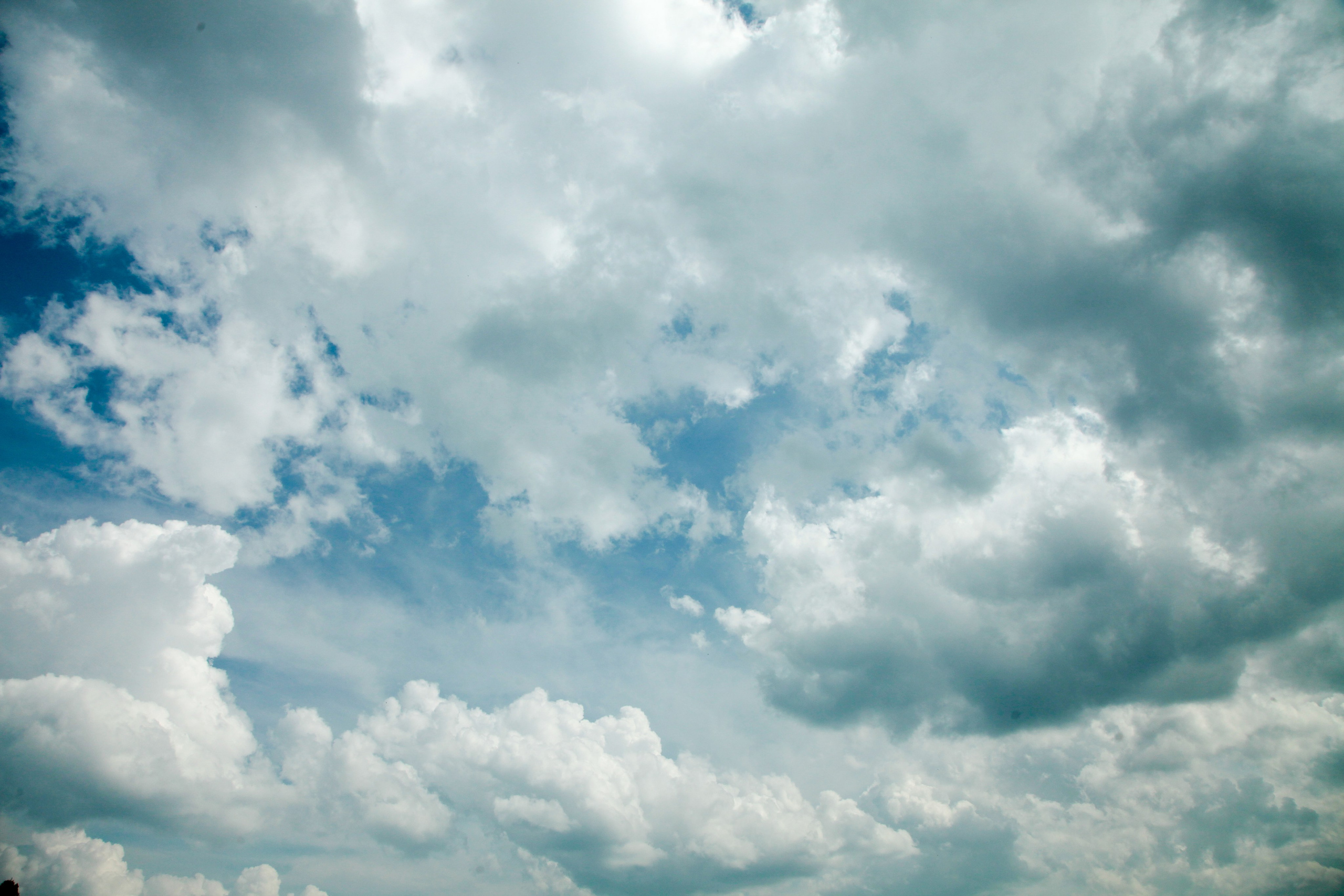 Фото Природы Забайкалья. Студия Максима Белослюдцева