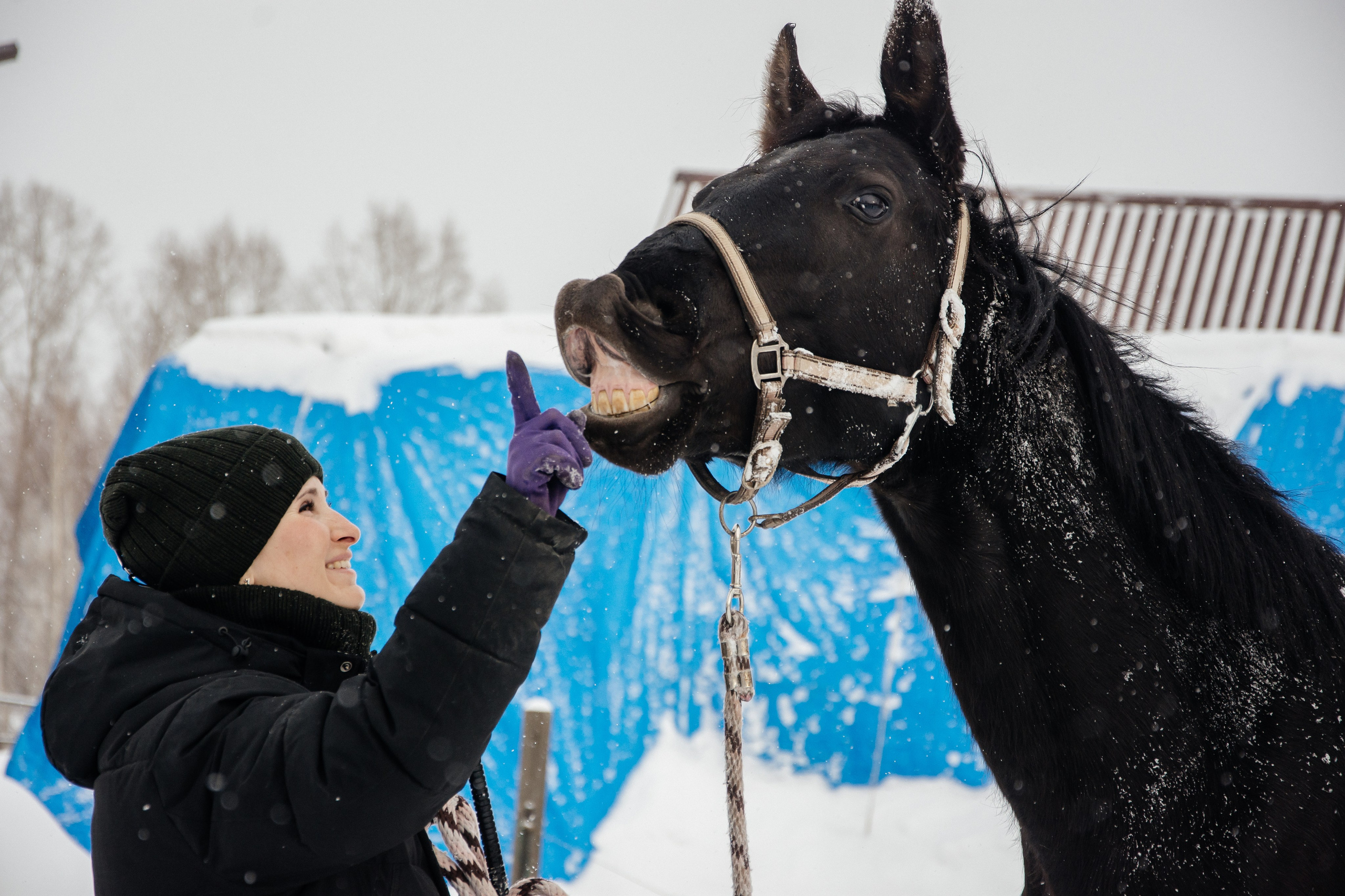 Детская прогулка. Фотограф на все случаи