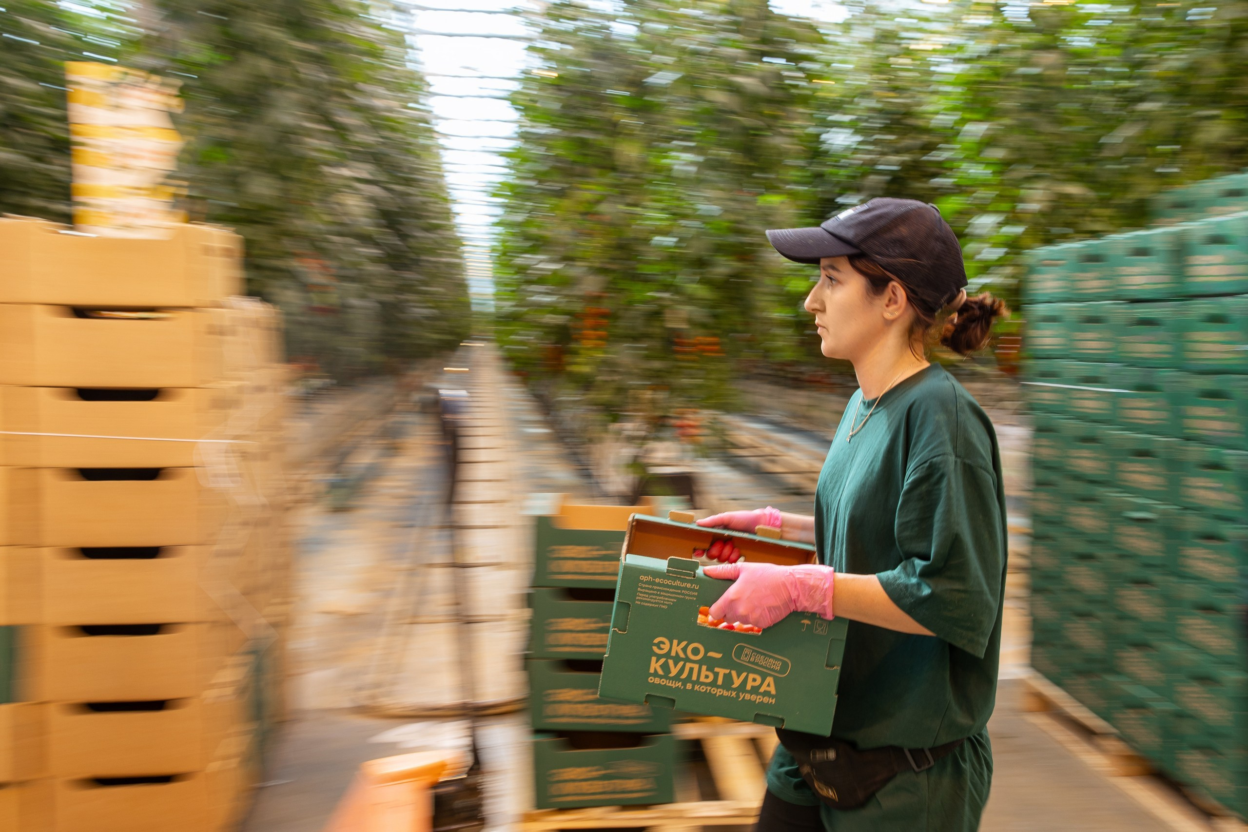 Производство. Фотограф Николай Петрушкин | Ставрополь, Москва