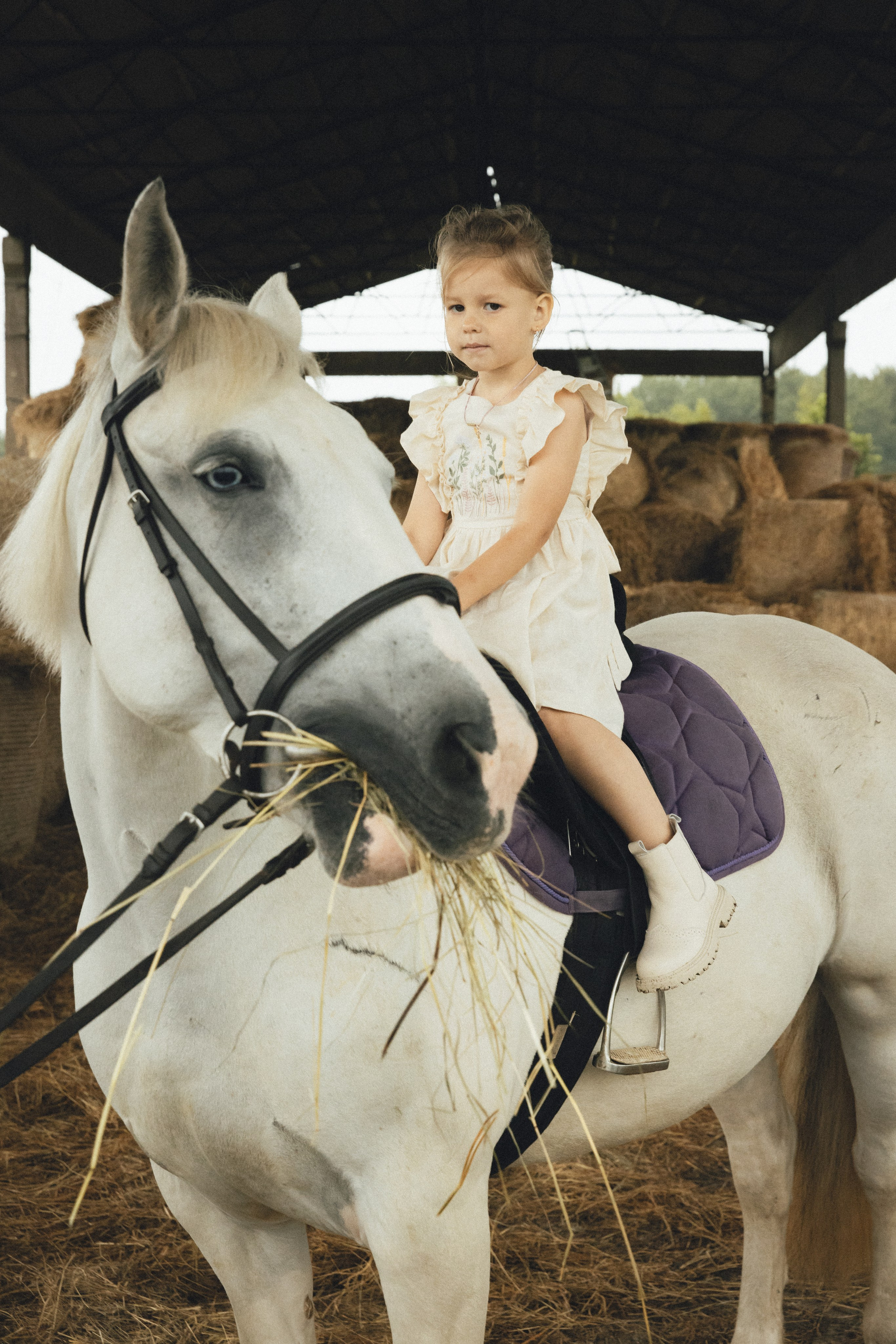 Семья в Конюшне. Фотограф Калининград Илья Миллер