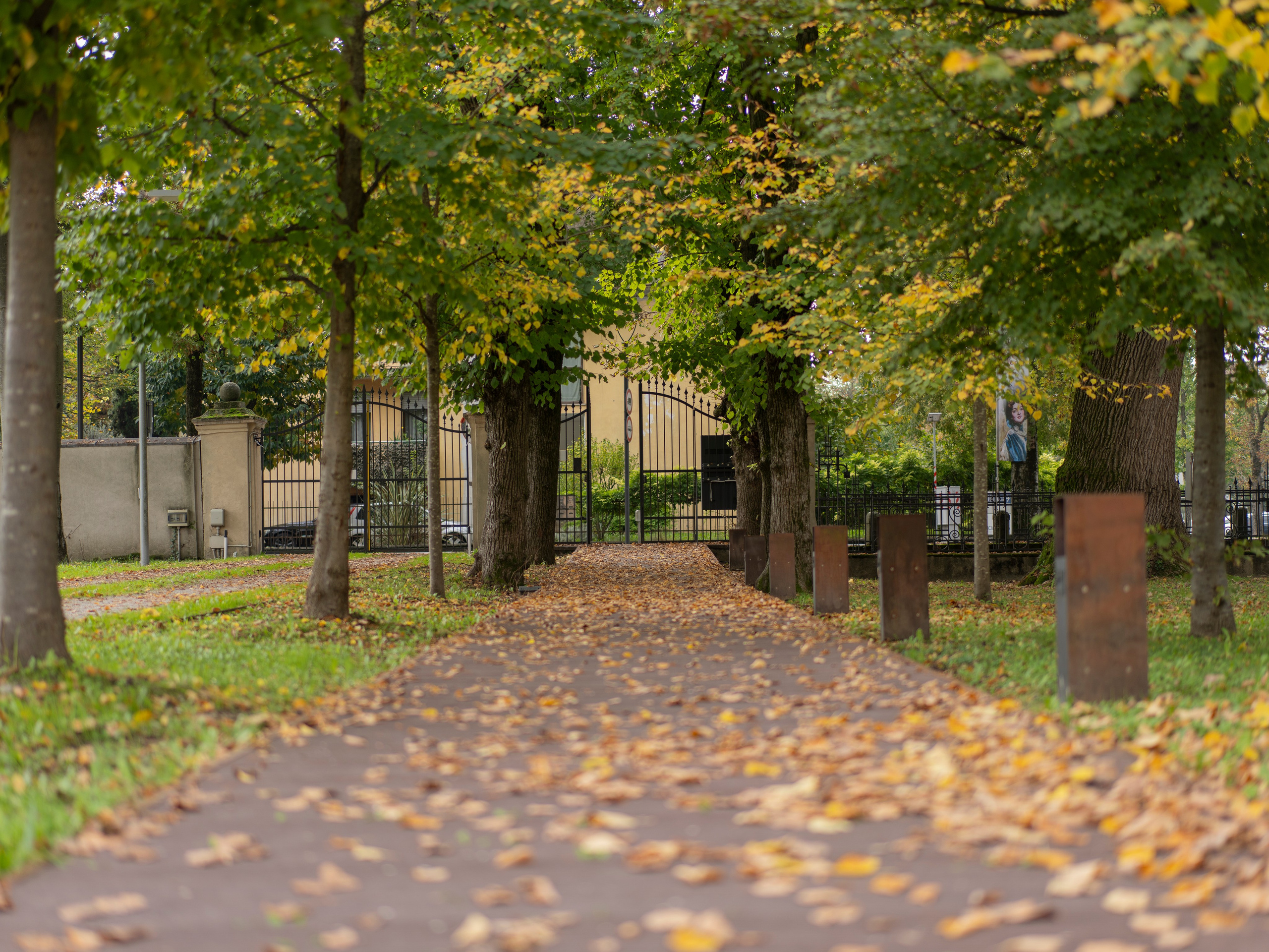 Природа и животные. Творческий фотограф Ирина Баландина.  Санкт-Петербург, Мурманск