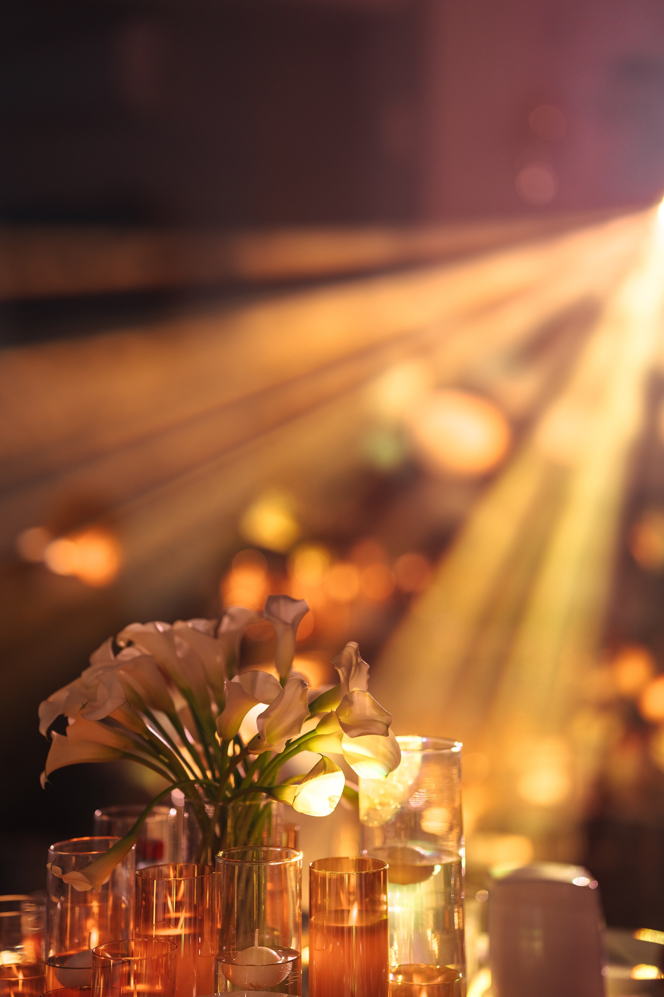 Давид и Владислава. Свадебный и портретный фотограф в Симферополе и Крыму