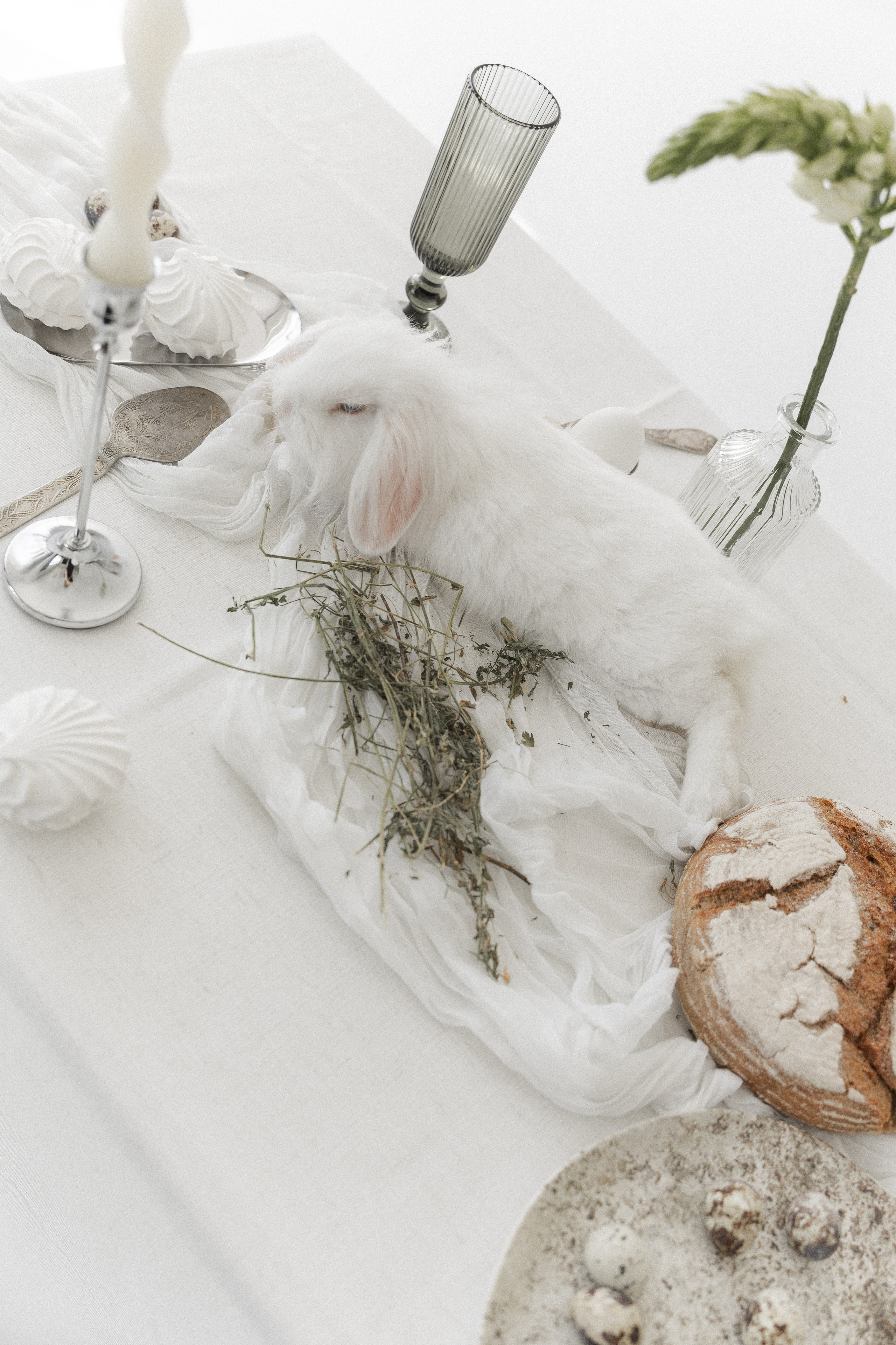 Творческая съемка к Пасхе с кроликом. Главная