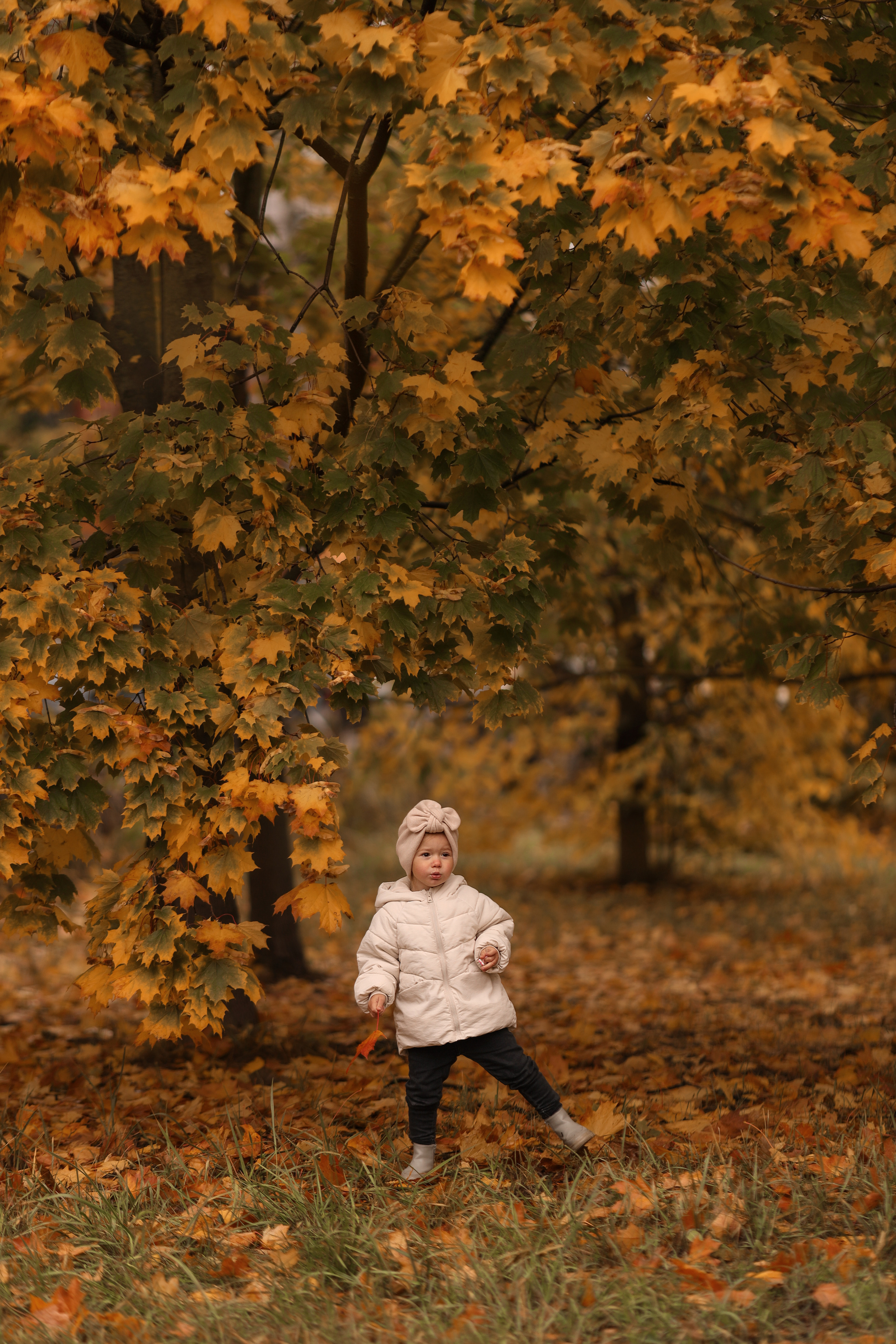 ГАЛЕРЕЯ. Детский и семейный фотограф Ирина Галкина, город Иваново