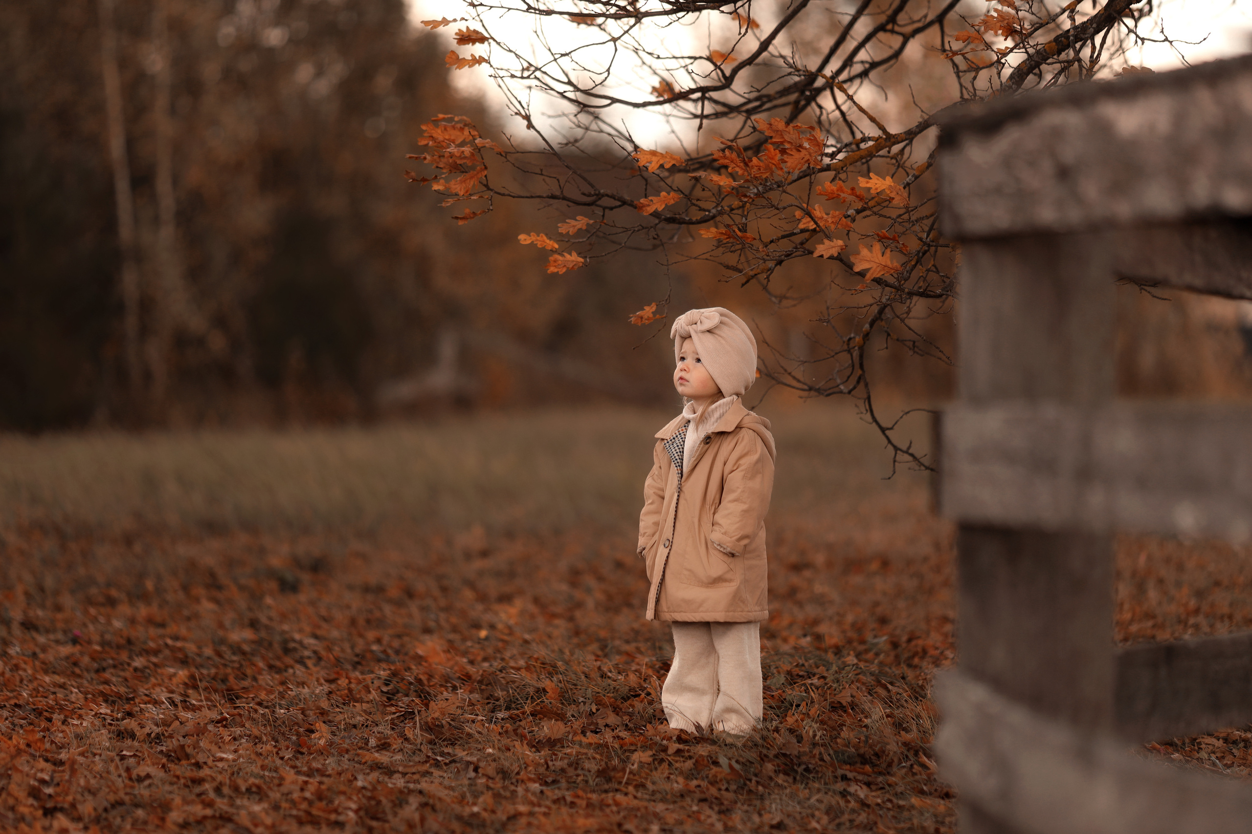 ГАЛЕРЕЯ. Детский и семейный фотограф Ирина Галкина, город Иваново