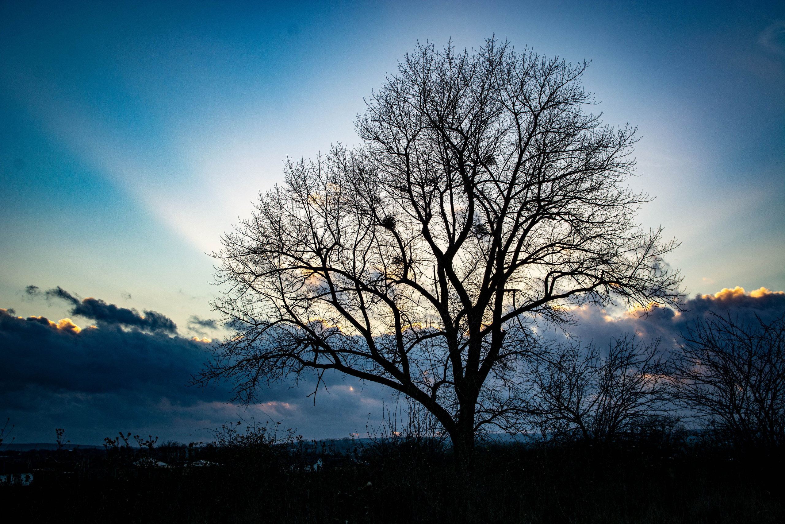 Природа в фотографии, взгляд на прекрасное через объектив фотоаппарата. Елена Волкова семейный фотограф в станице Гостагаевской города-курорта Анапа